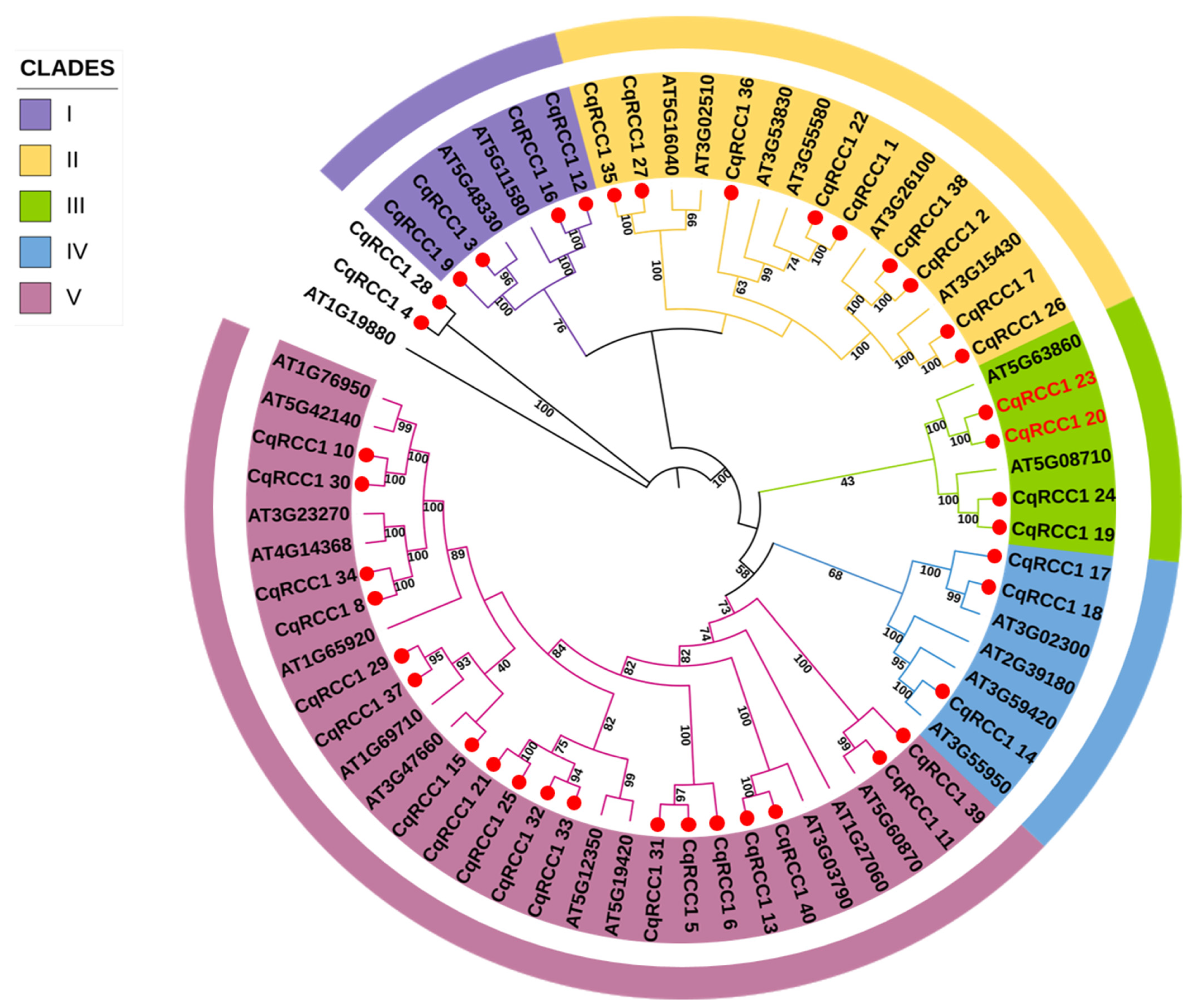 Ijms 26 11657 g001 Ijms 26 11657 g001