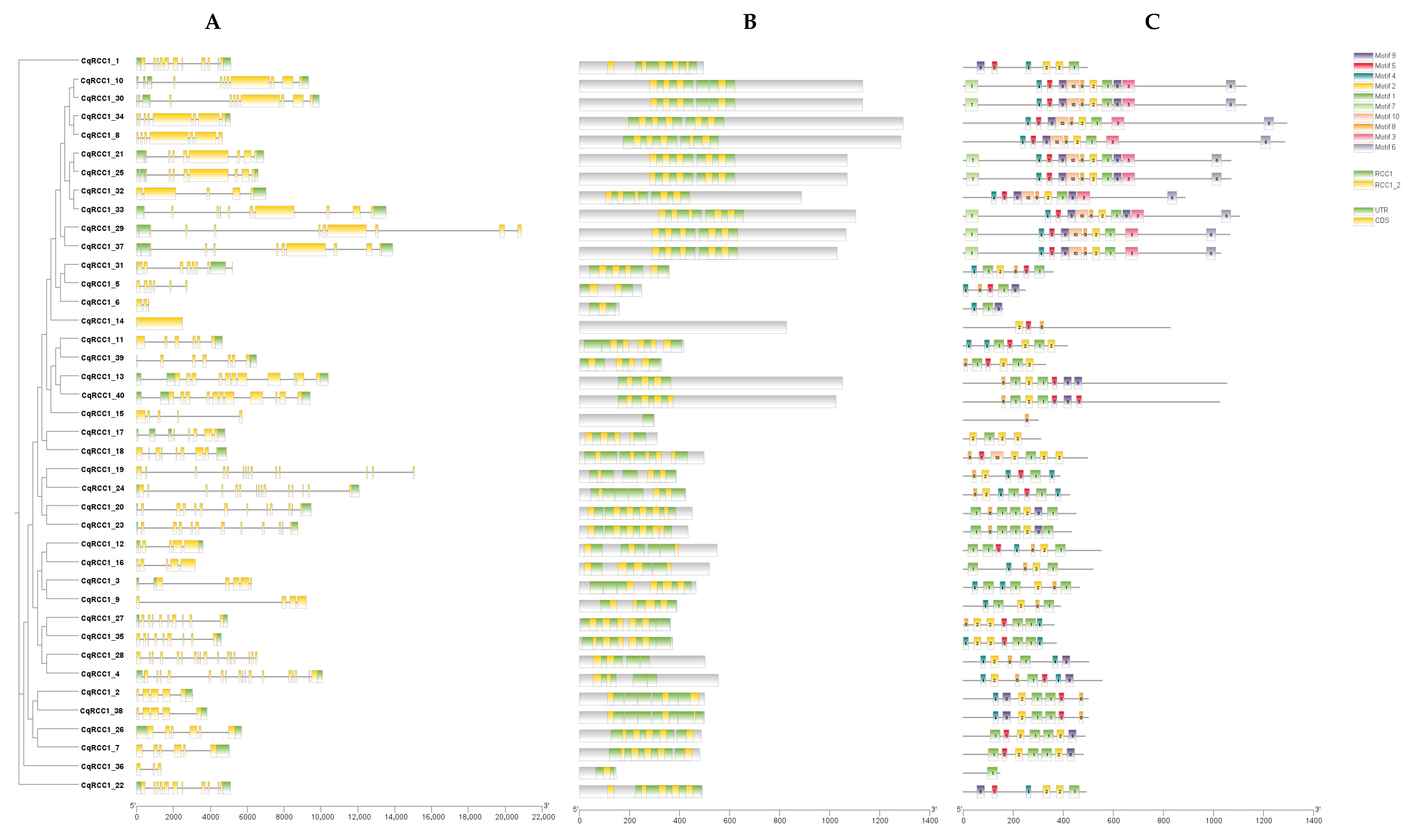 Ijms 26 11657 g002 Ijms 26 11657 g002