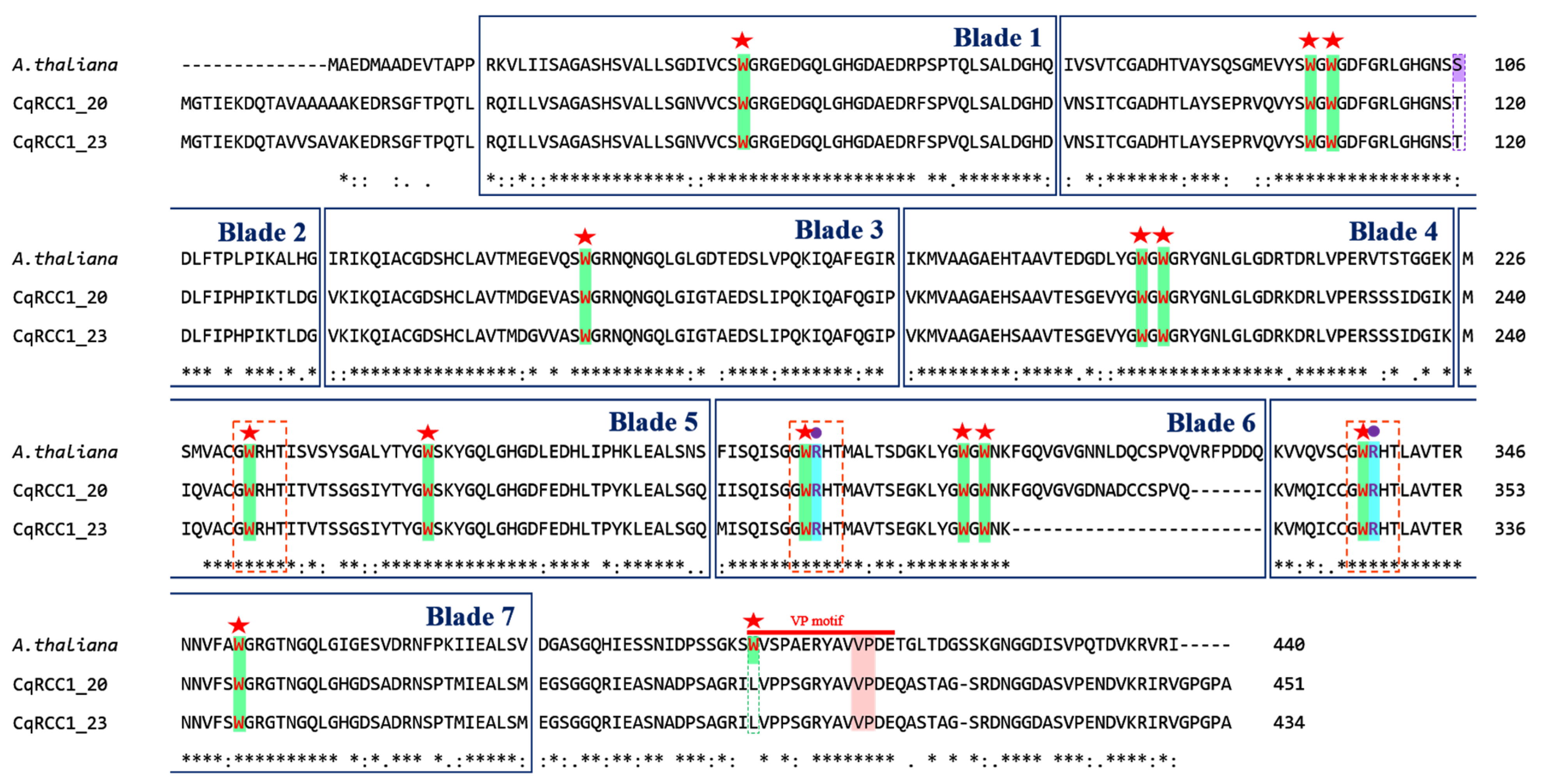Ijms 26 11657 g003 Ijms 26 11657 g003