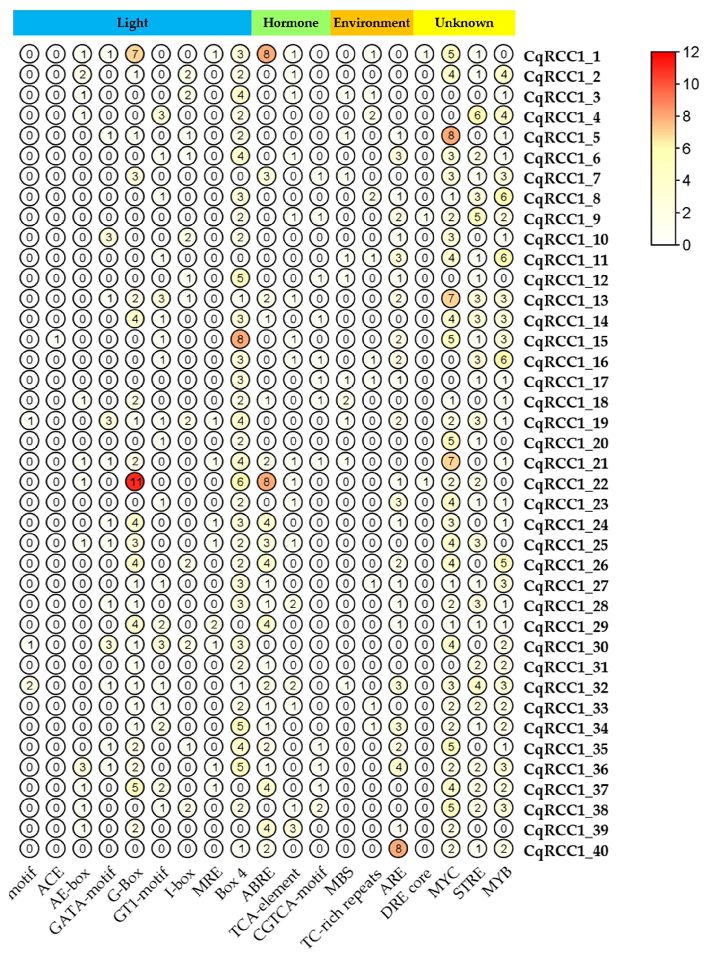 Ijms 26 11657 g004 Ijms 26 11657 g004