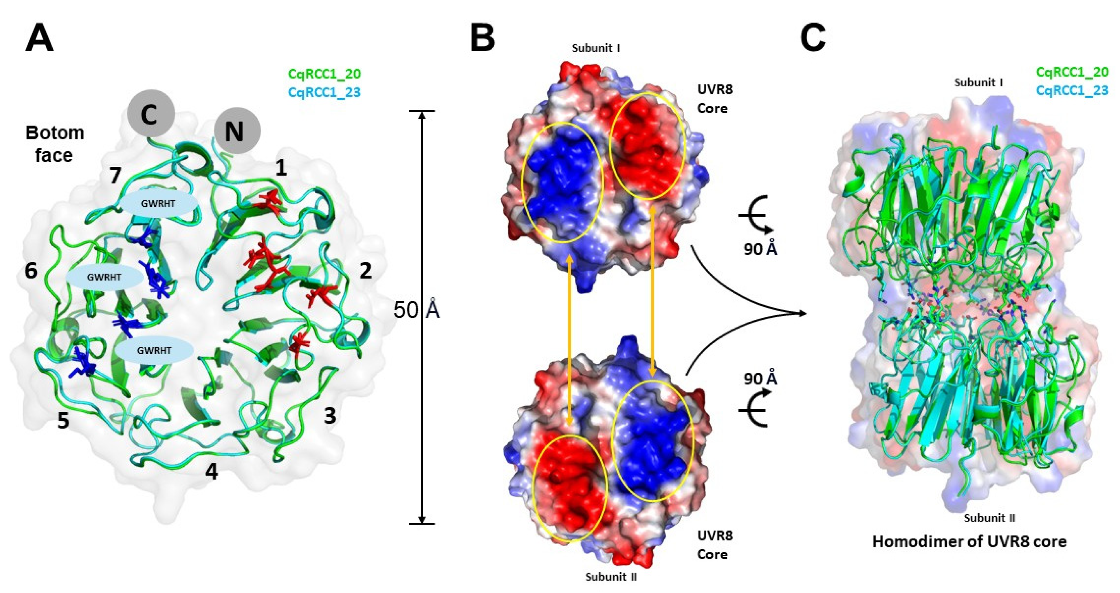 Ijms 26 11657 g005 Ijms 26 11657 g005