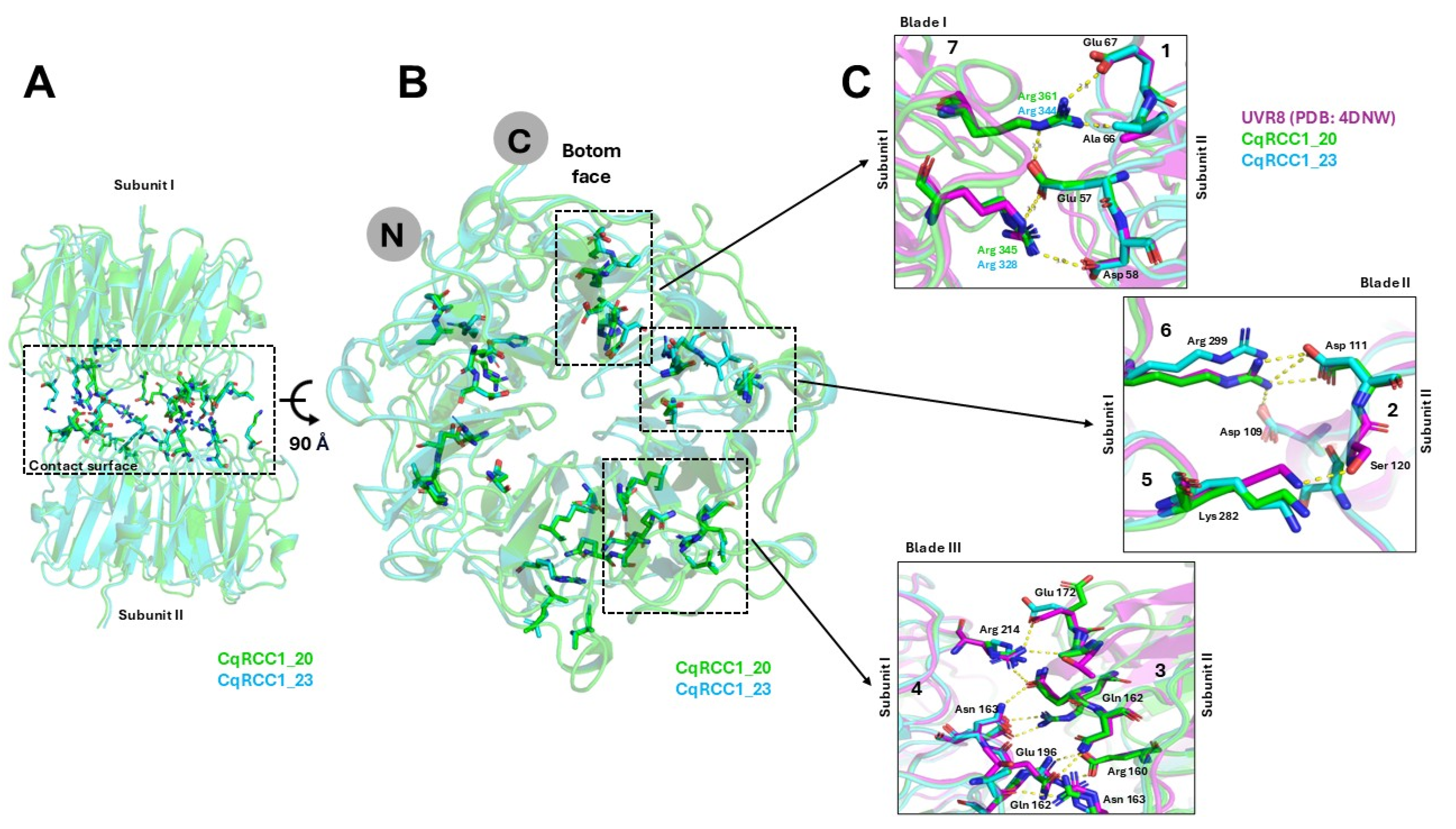 Ijms 26 11657 g006 Ijms 26 11657 g006