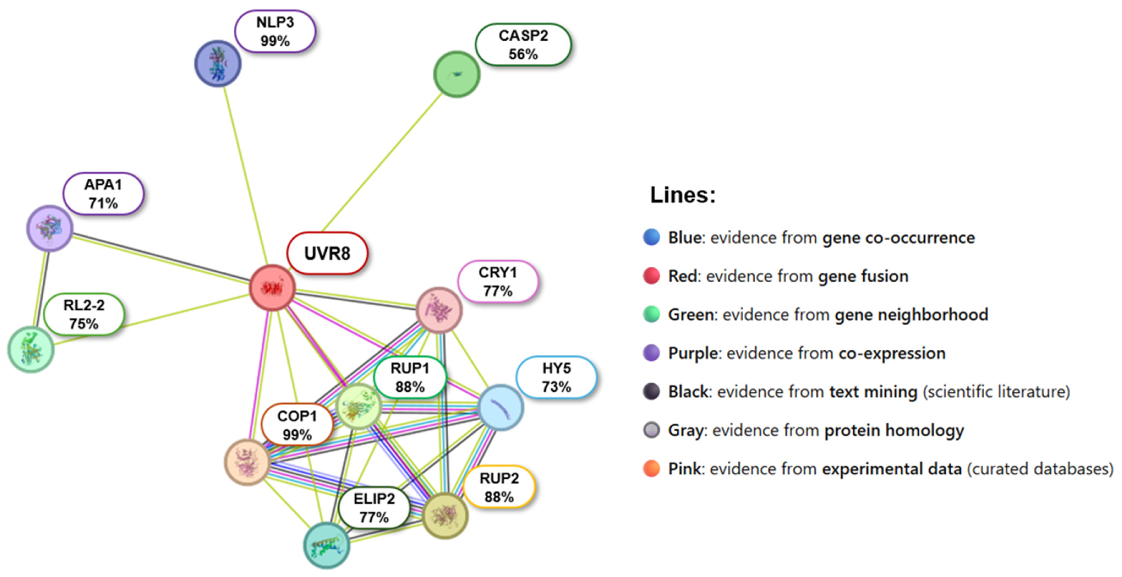 Ijms 26 11657 g007 Ijms 26 11657 g007