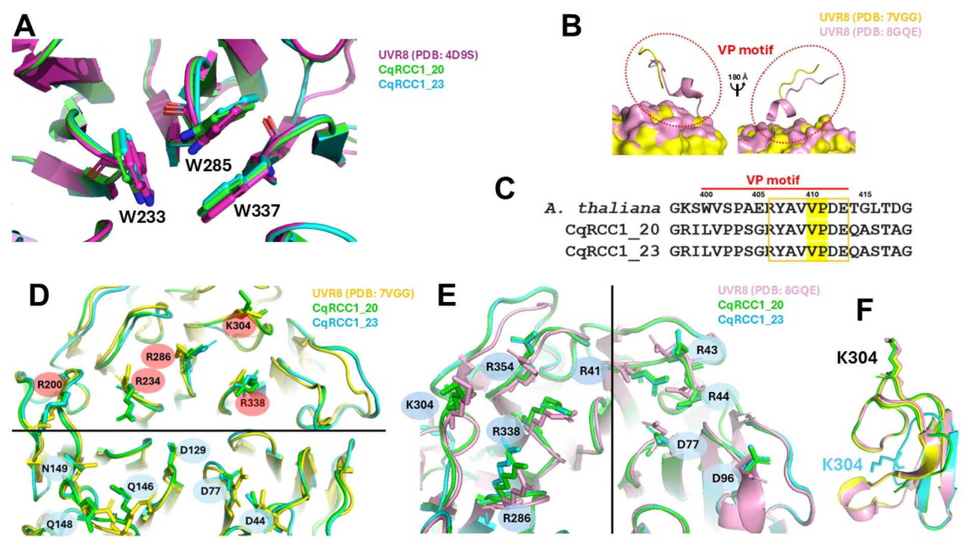 Ijms 26 11657 g008 Ijms 26 11657 g008
