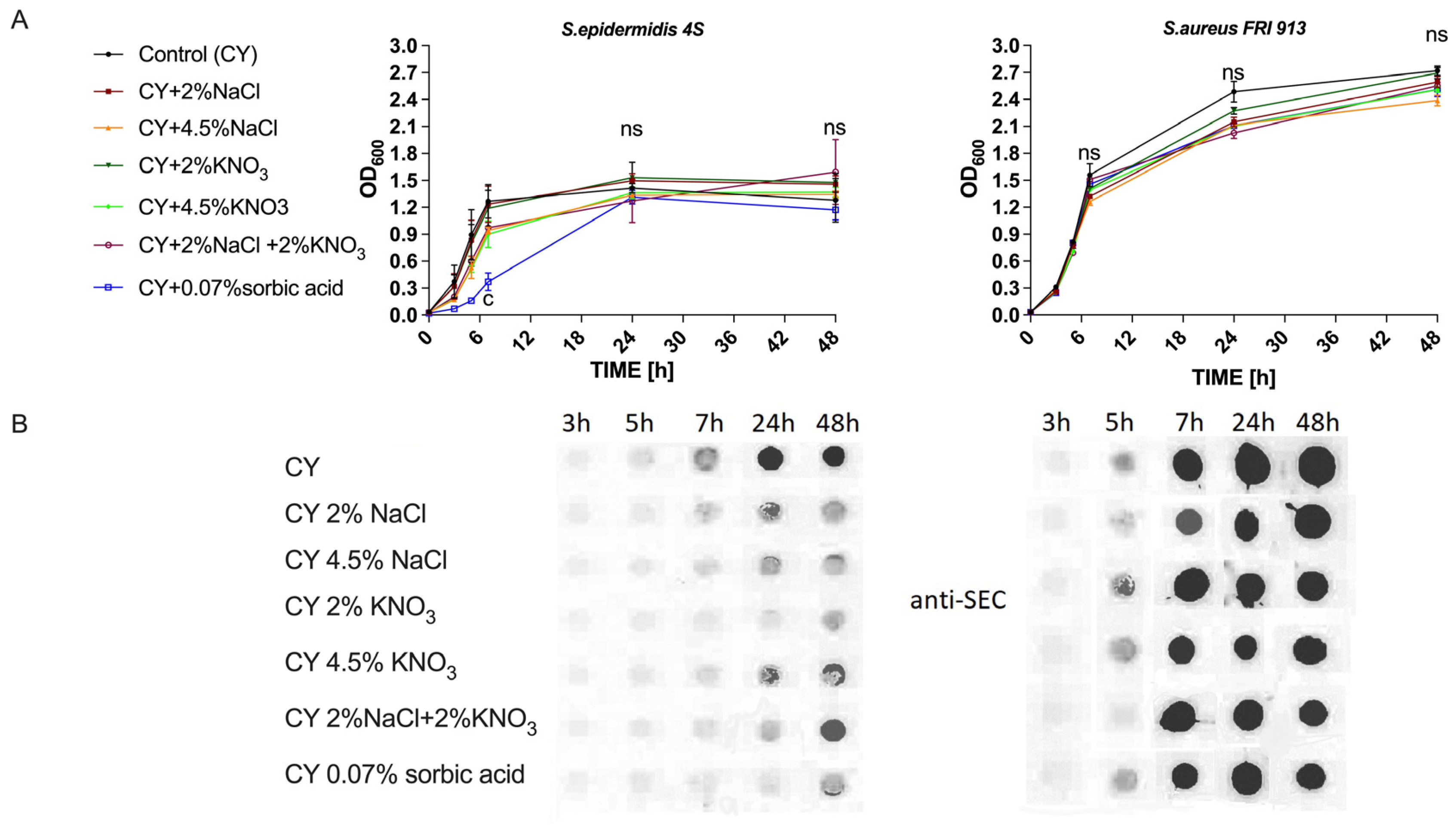 Ijms 26 11659 g001 Ijms 26 11659 g001