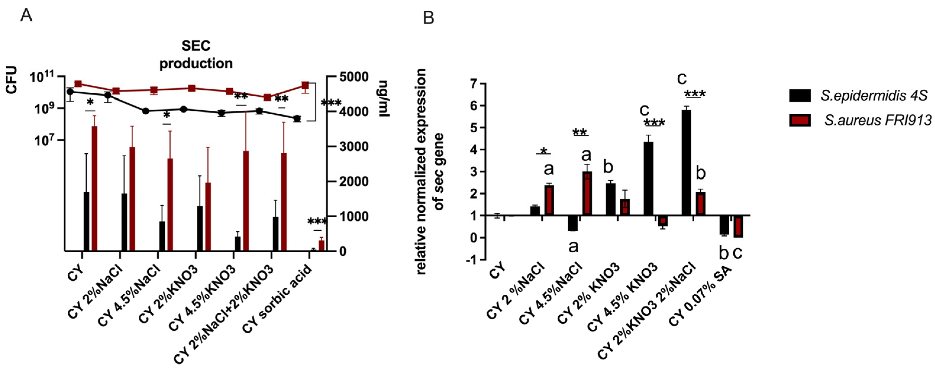 Ijms 26 11659 g002 Ijms 26 11659 g002
