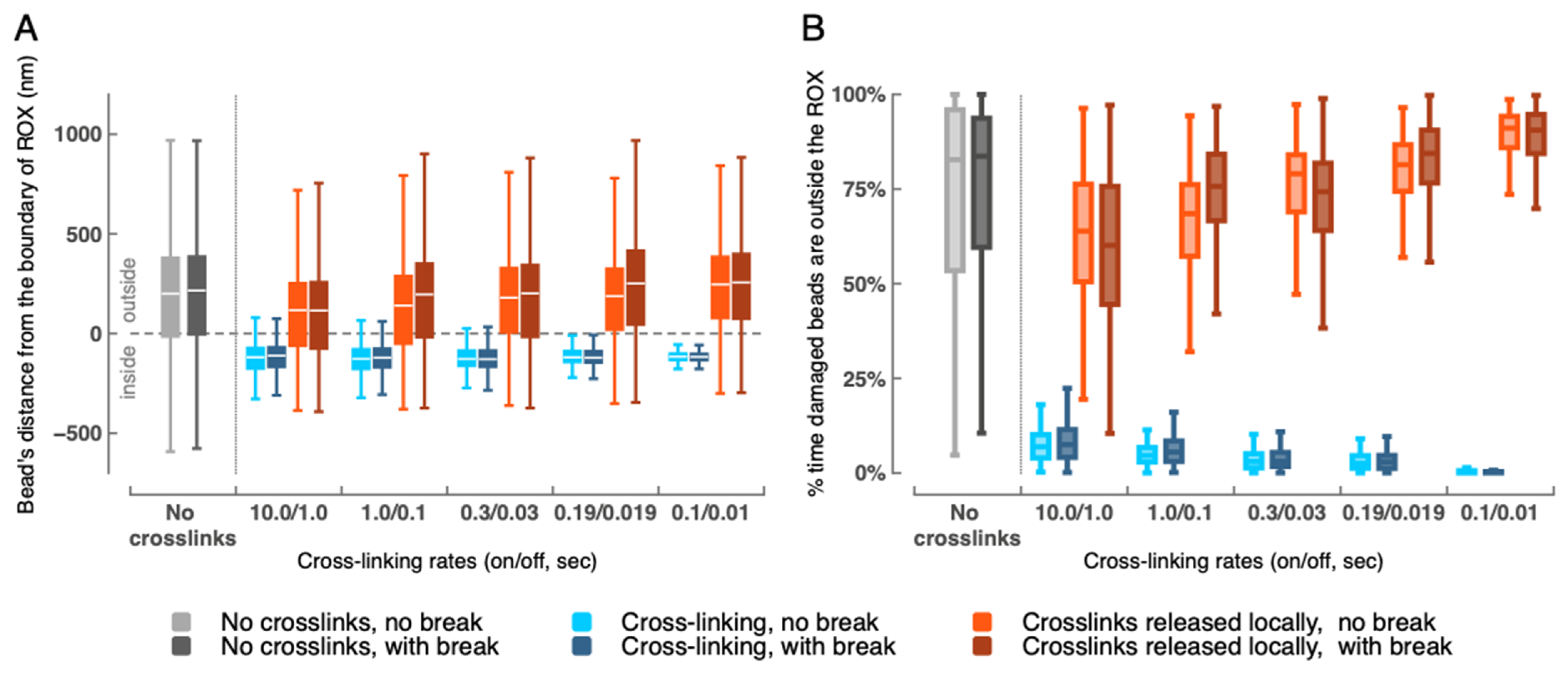 Ijms 26 11697 g002 Ijms 26 11697 g002