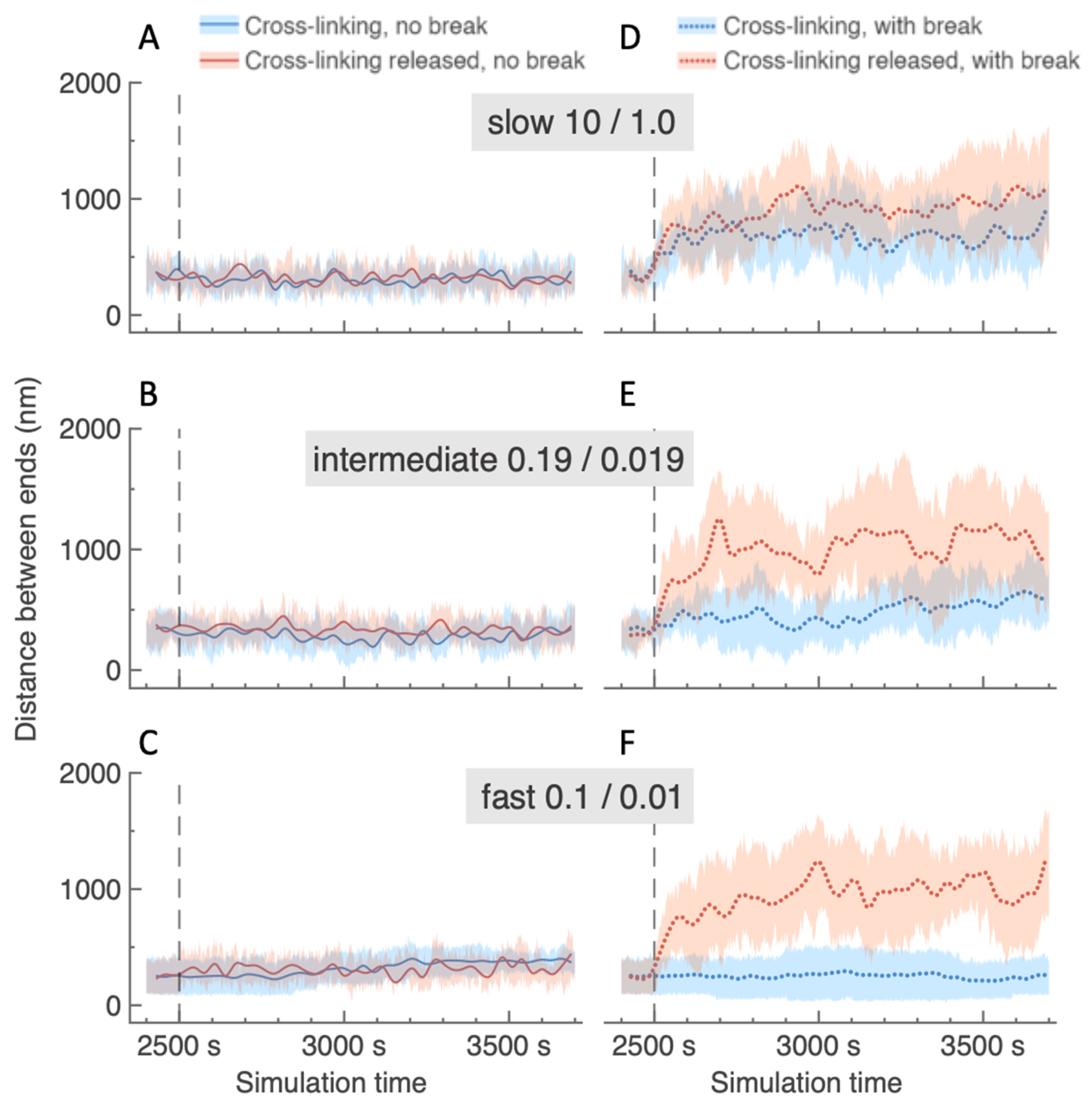 Ijms 26 11697 g004 Ijms 26 11697 g004
