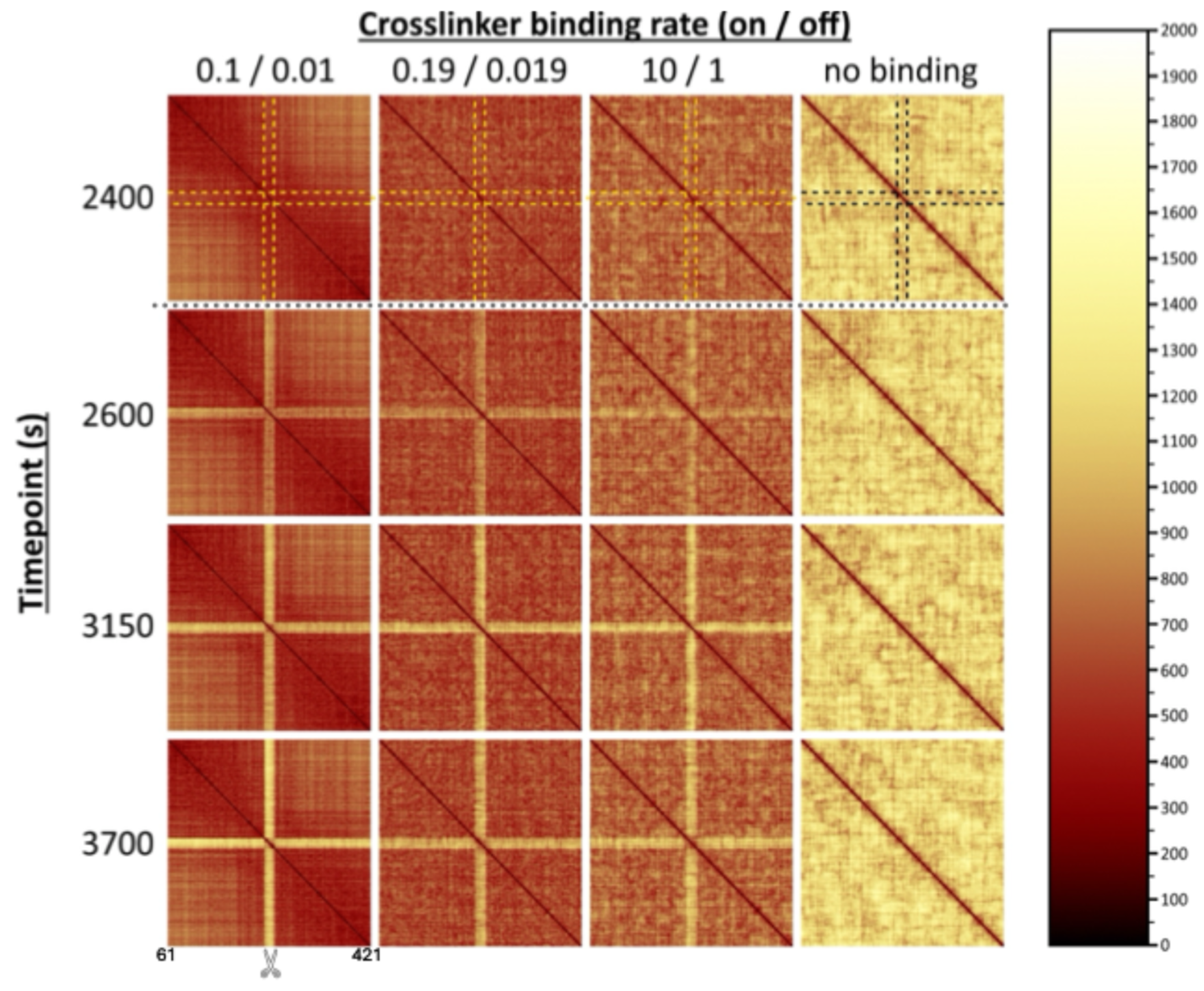 Ijms 26 11697 g005 Ijms 26 11697 g005