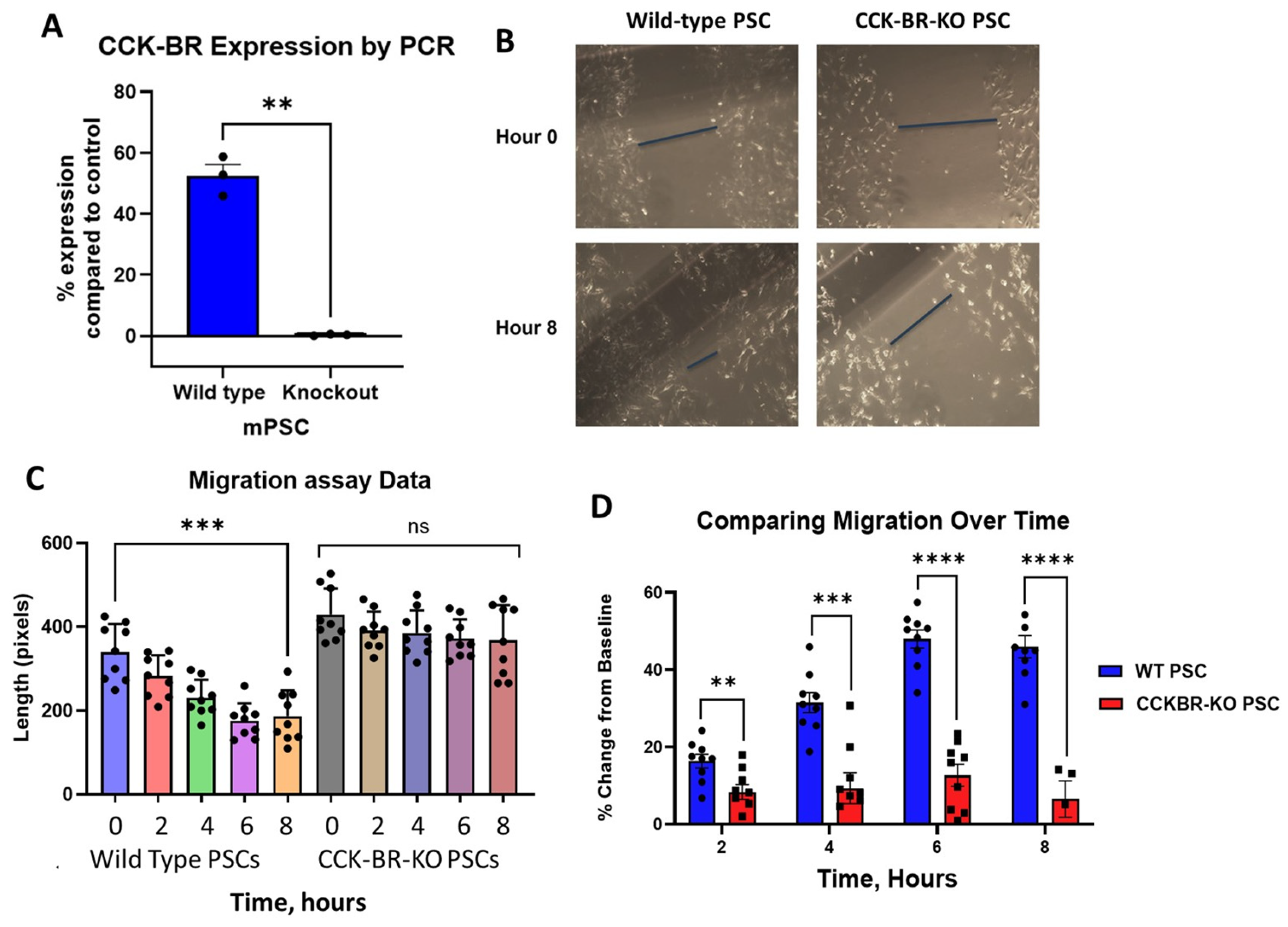 Ijms 26 11699 g001 Ijms 26 11699 g001
