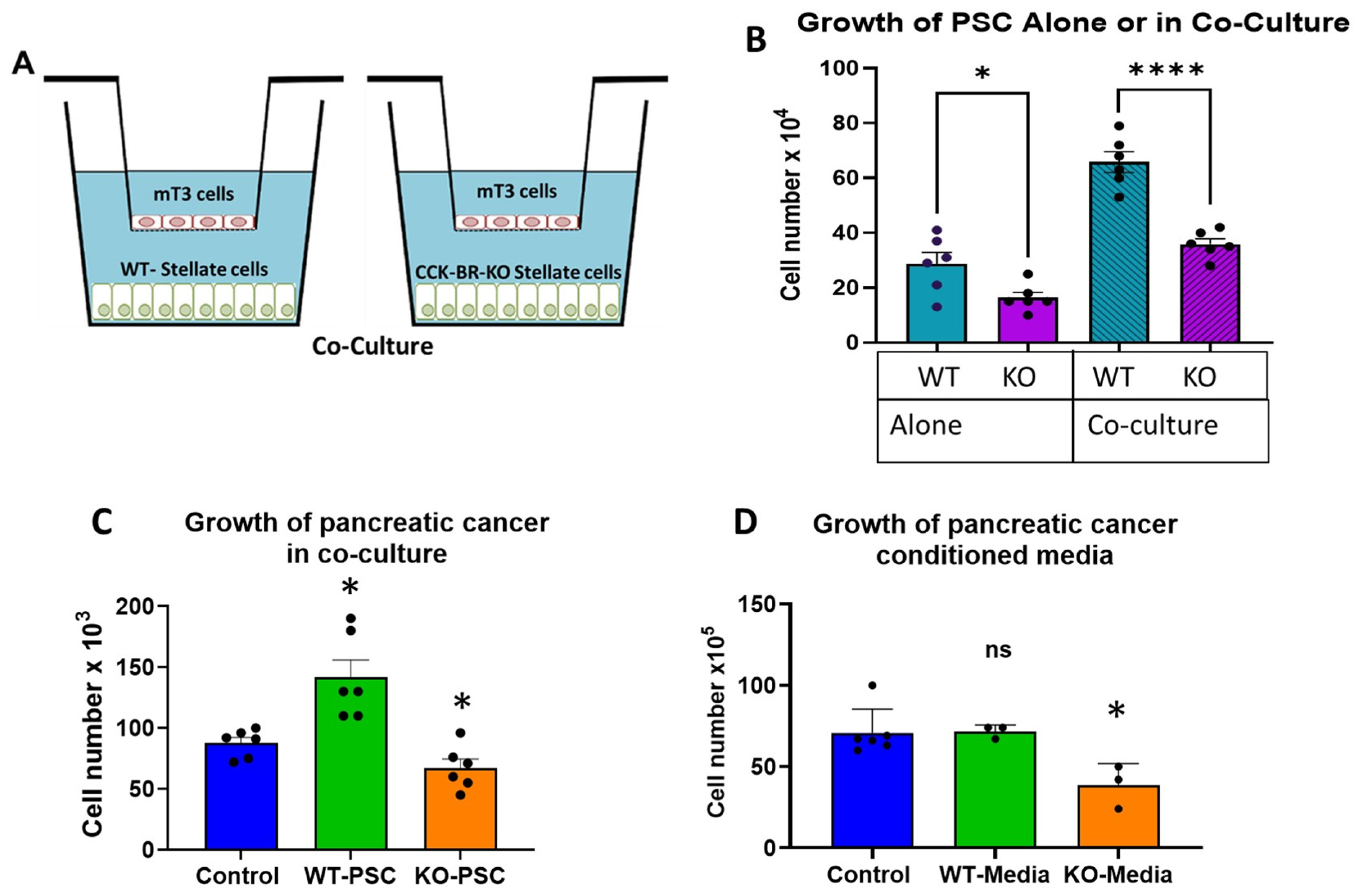 Ijms 26 11699 g002 Ijms 26 11699 g002