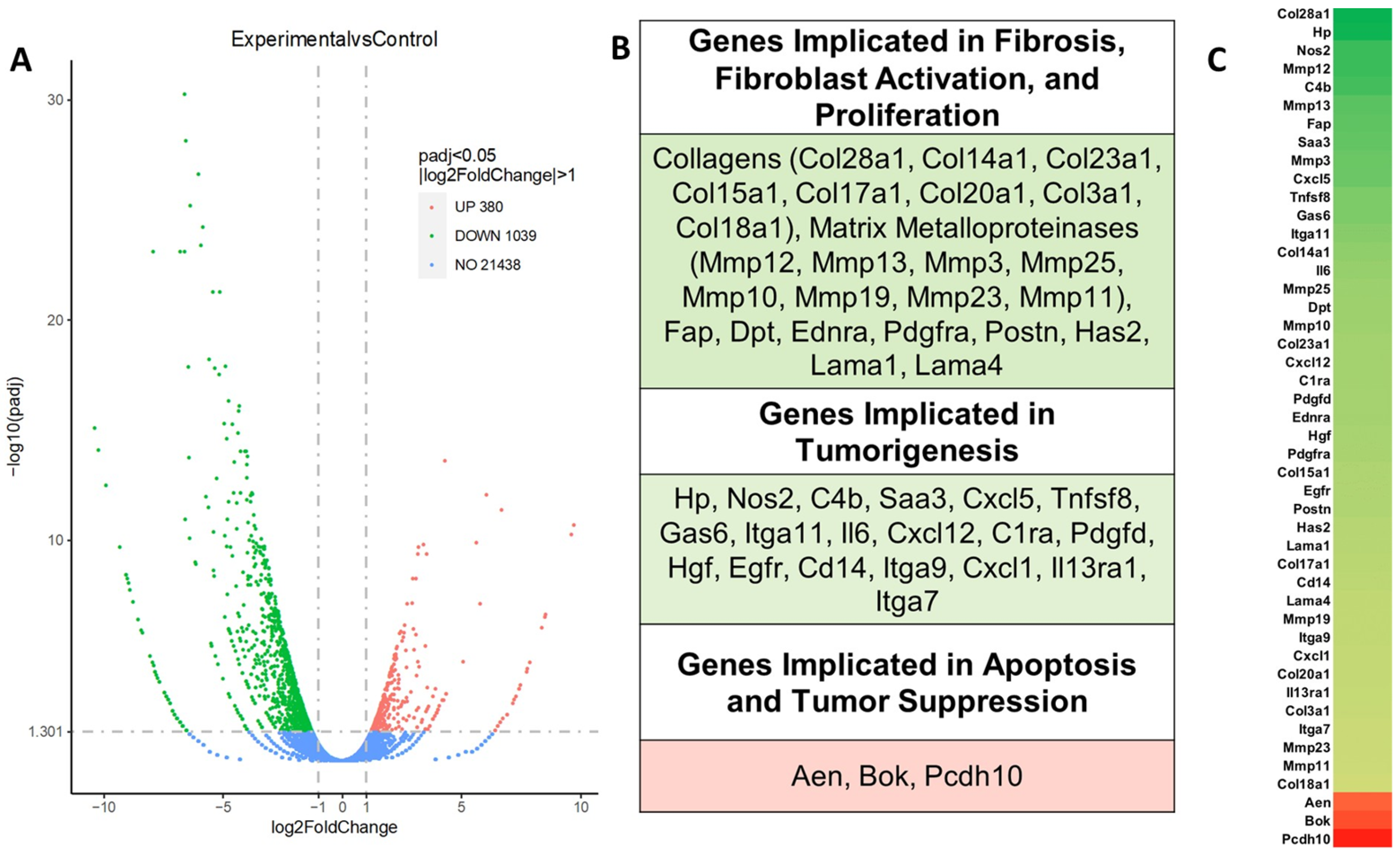 Ijms 26 11699 g003 Ijms 26 11699 g003