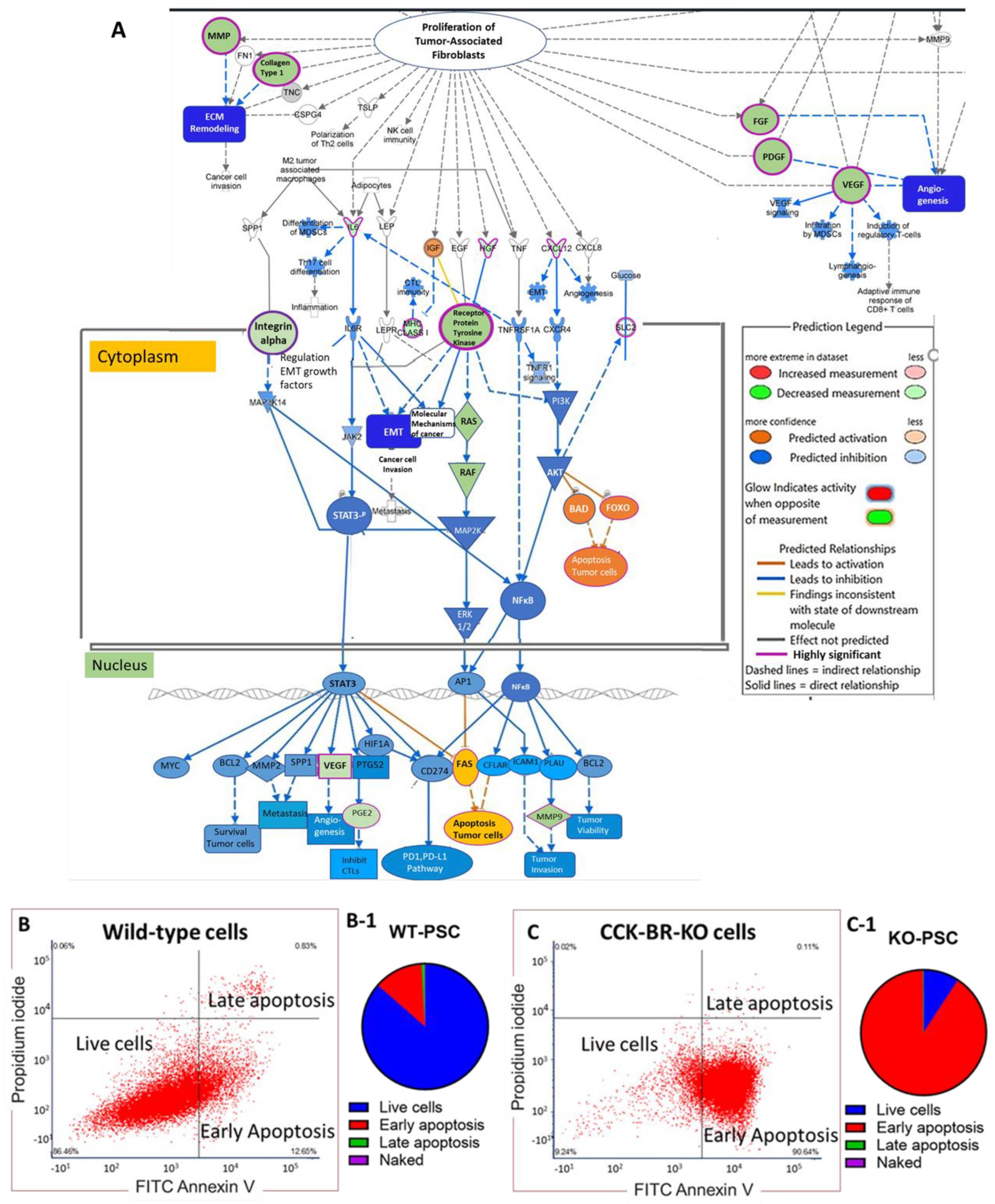Ijms 26 11699 g004 Ijms 26 11699 g004