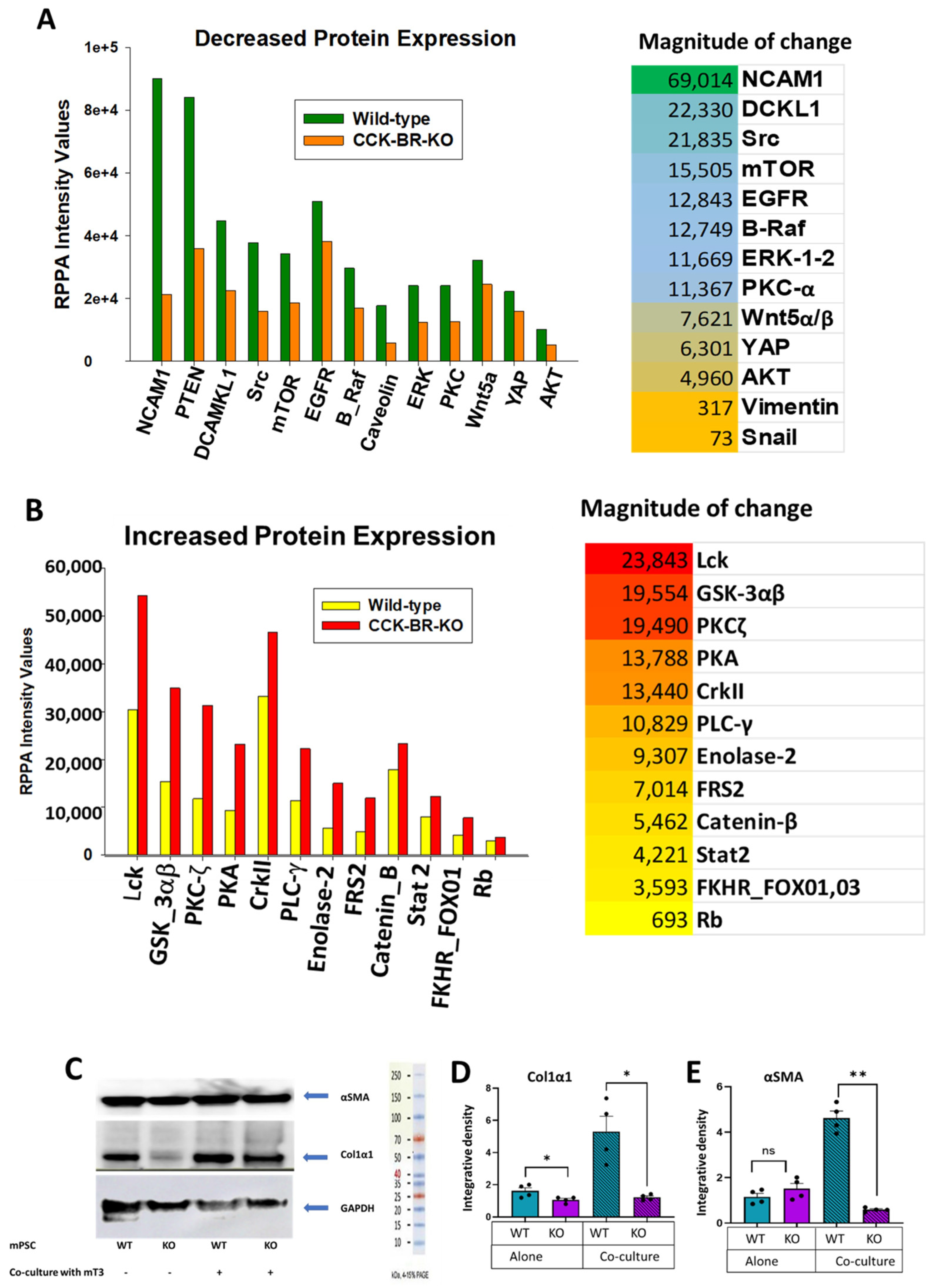 Ijms 26 11699 g005 Ijms 26 11699 g005