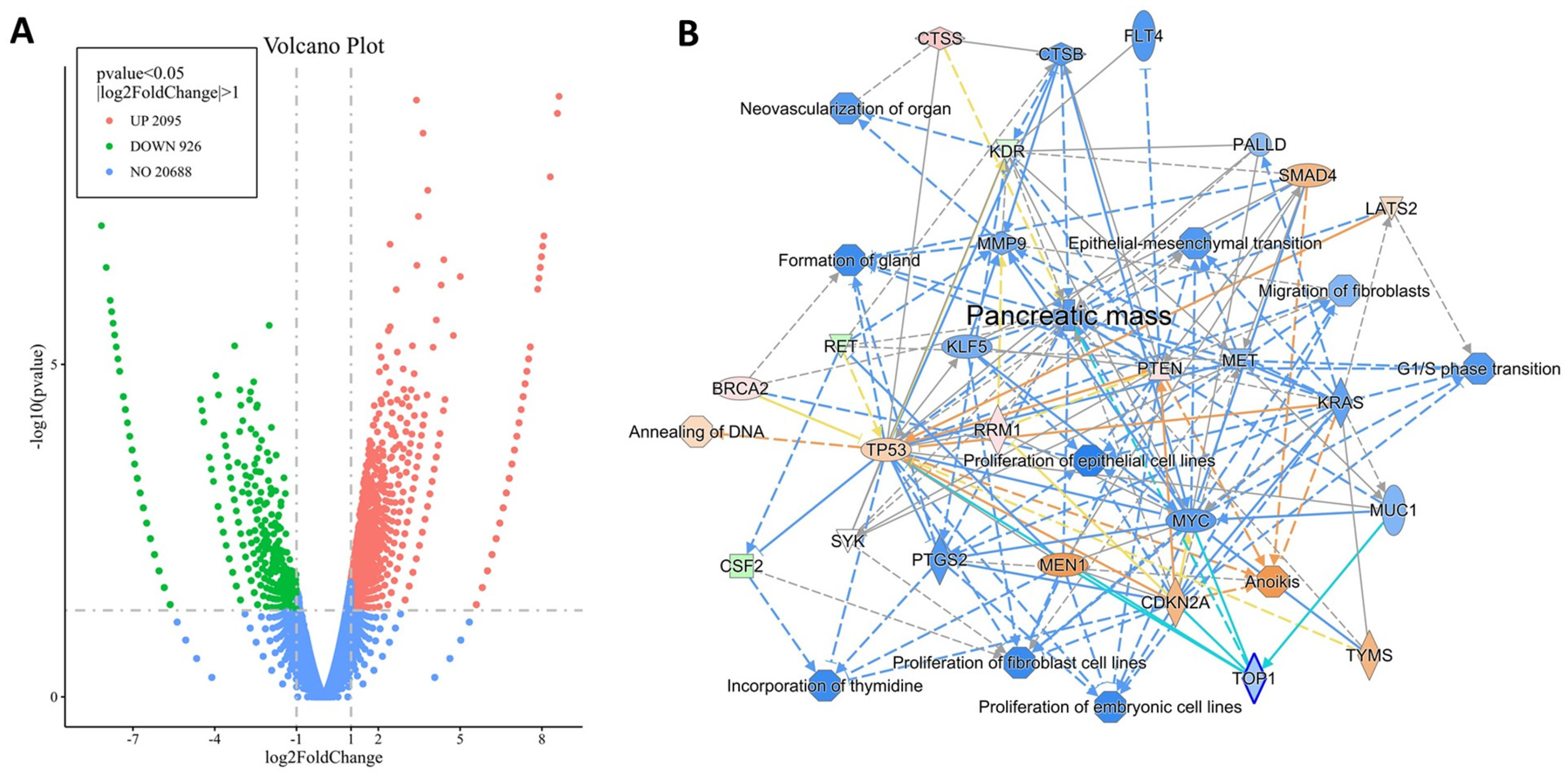 Ijms 26 11699 g006 Ijms 26 11699 g006