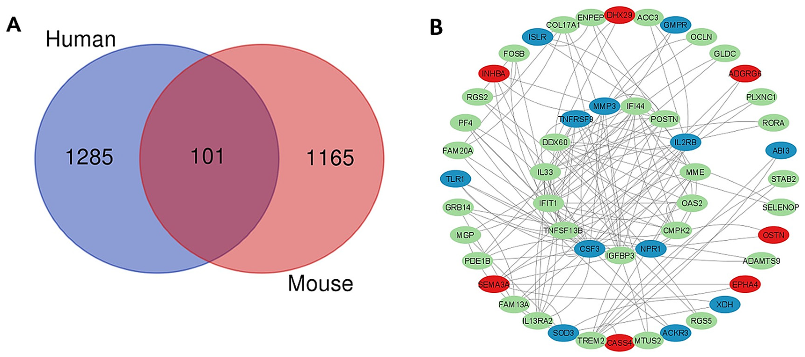 Ijms 26 11699 g007 Ijms 26 11699 g007
