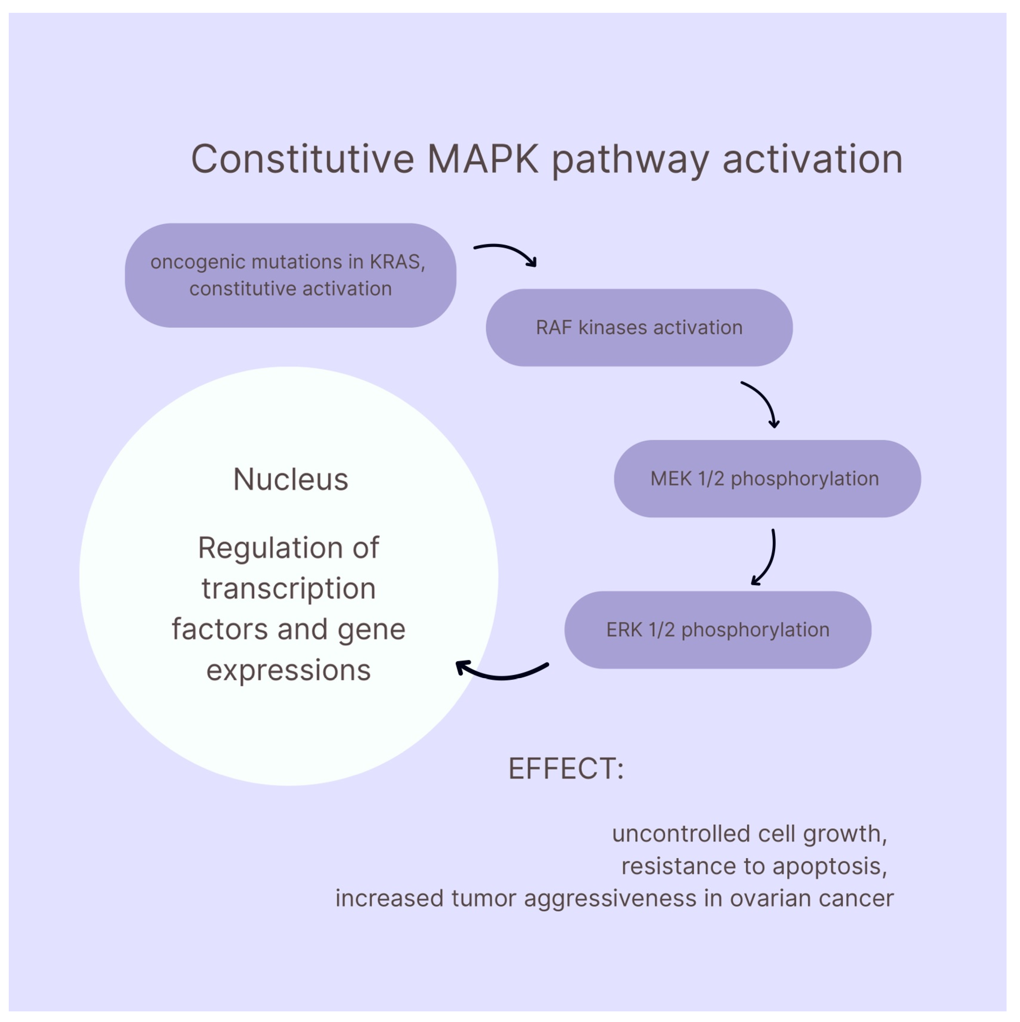 Ijms 26 11702 g001 Ijms 26 11702 g001