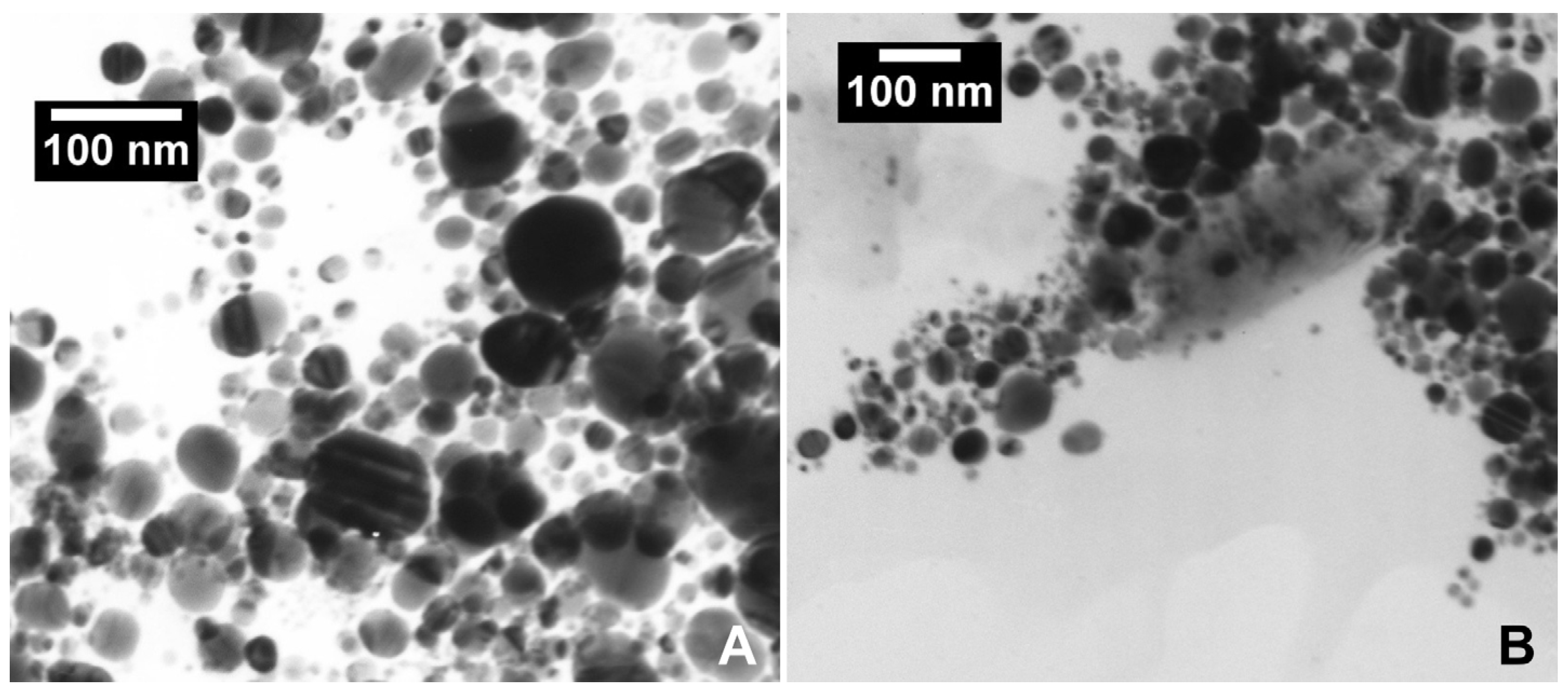 Ijms 26 11703 g001 Ijms 26 11703 g001