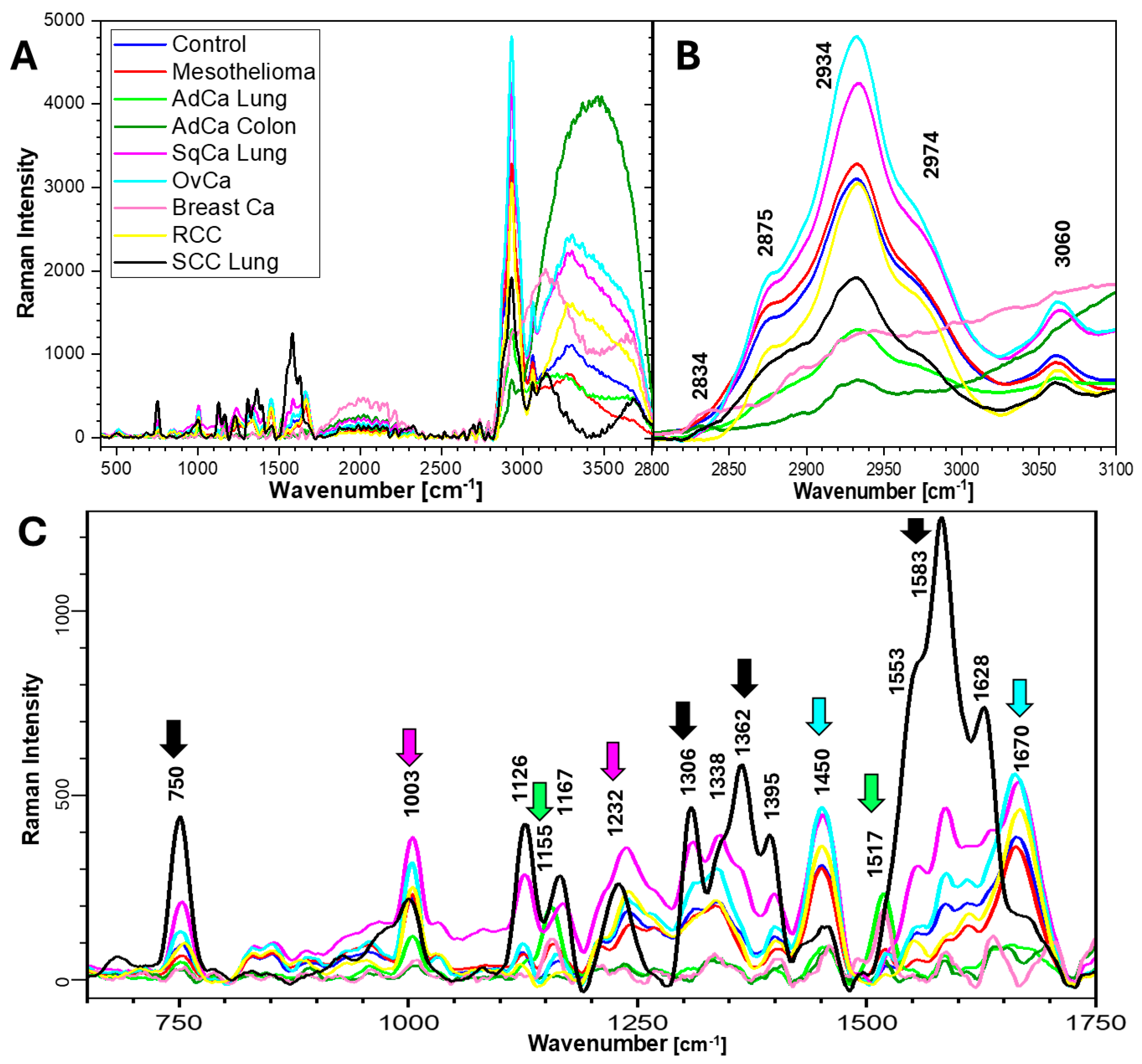 Ijms 26 11707 g001 Ijms 26 11707 g001