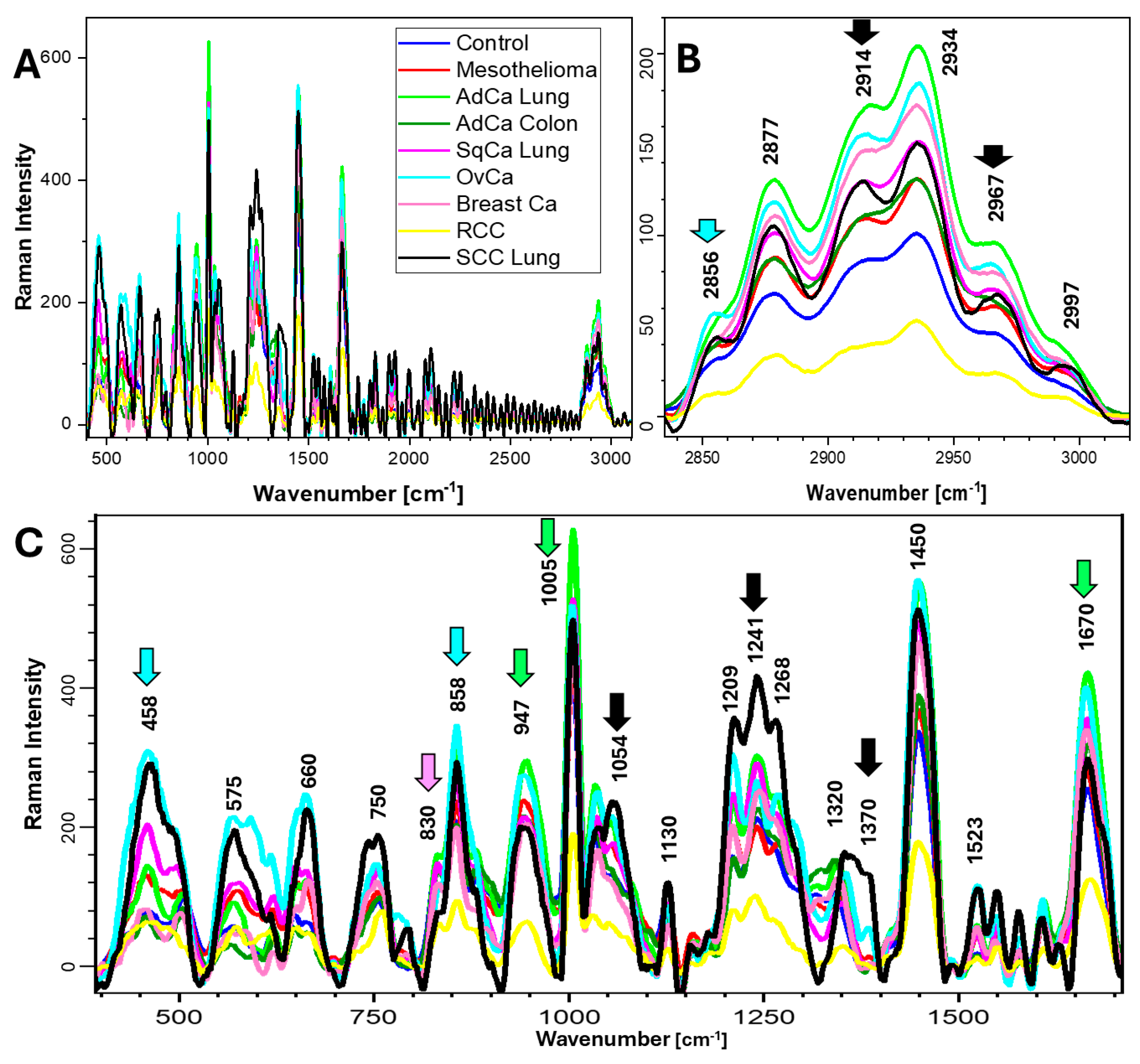 Ijms 26 11707 g002 Ijms 26 11707 g002
