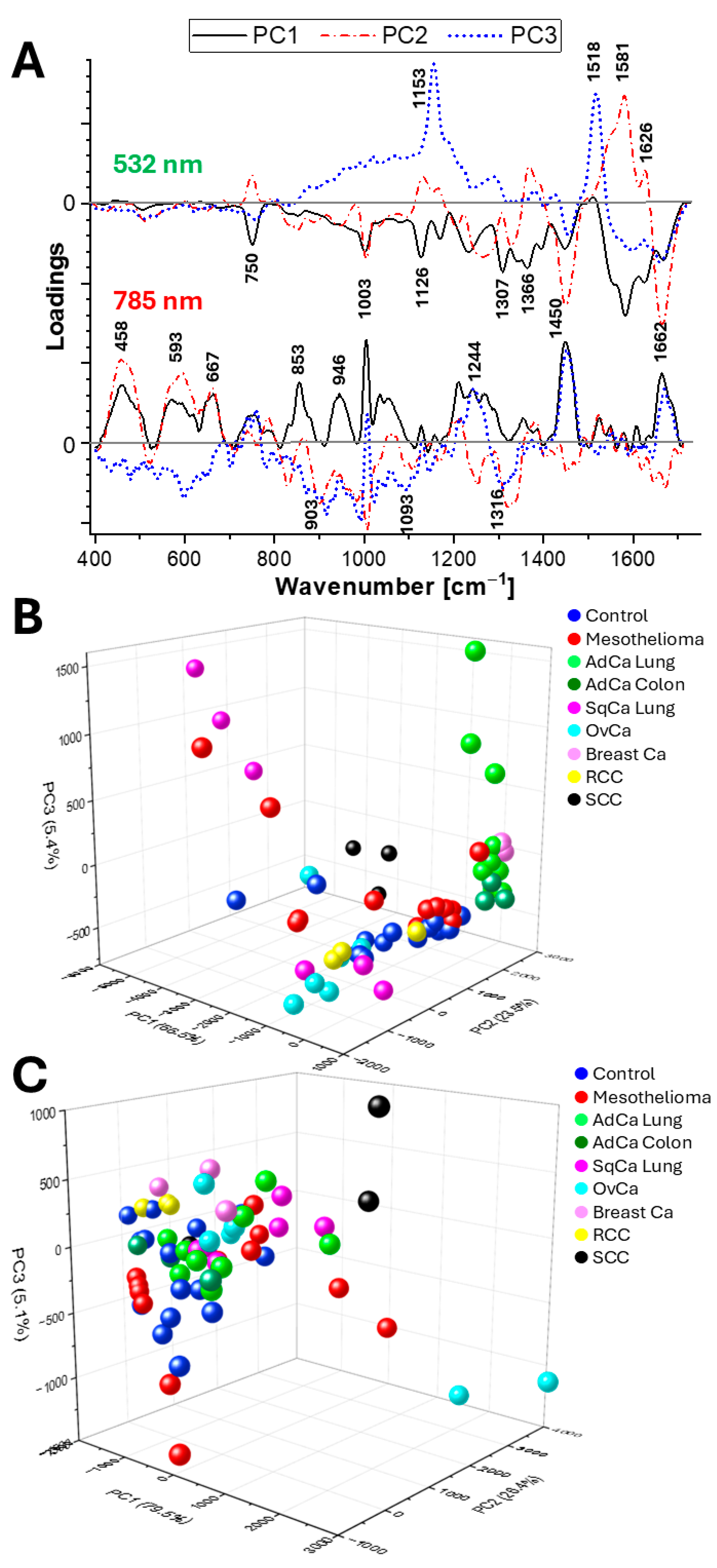 Ijms 26 11707 g003 Ijms 26 11707 g003