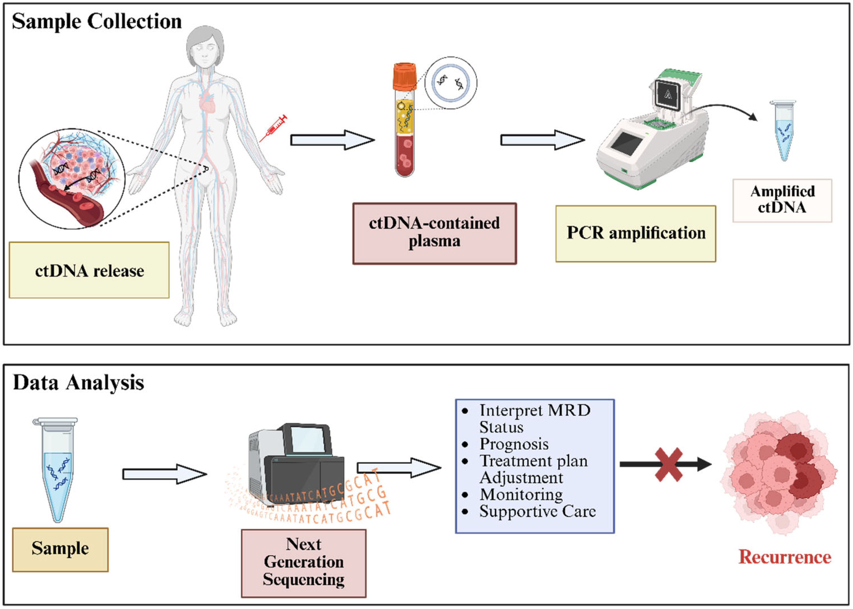Ijms 26 11708 g001 Ijms 26 11708 g001