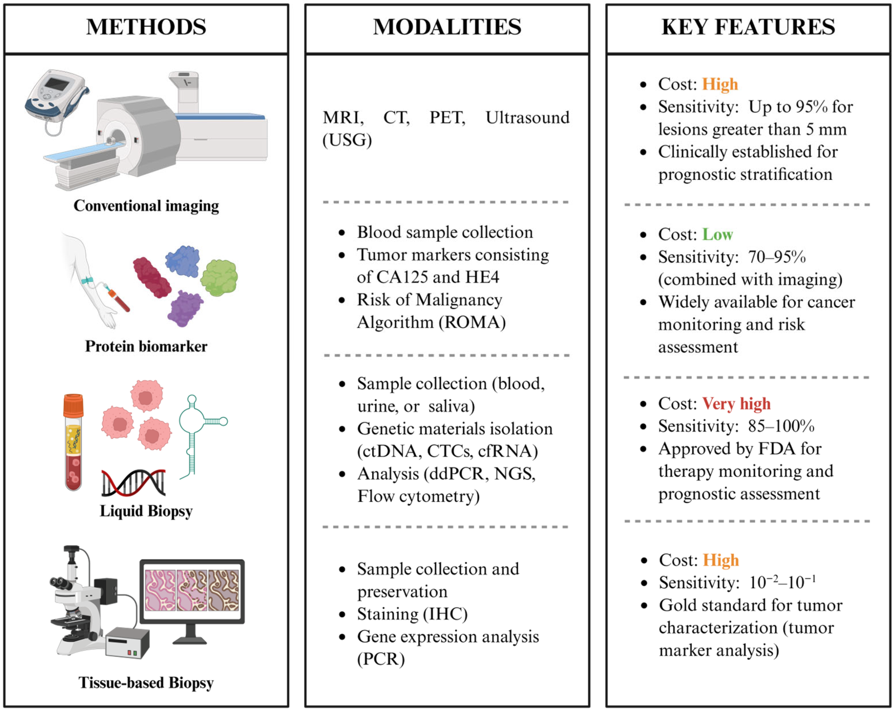 Ijms 26 11708 g003 Ijms 26 11708 g003