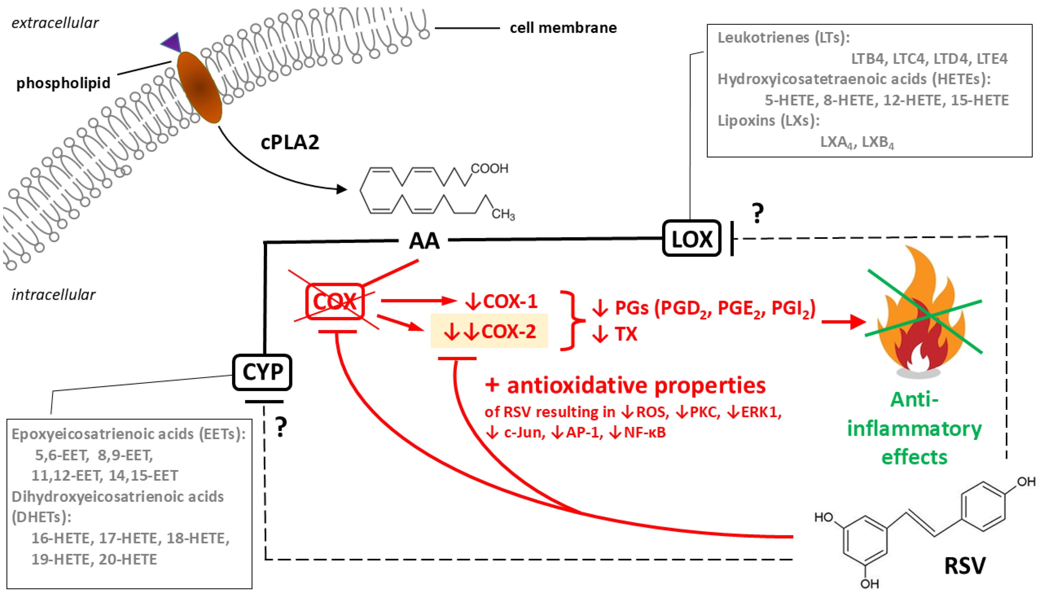 Anti-Inflammatory Properties of Resveratrol