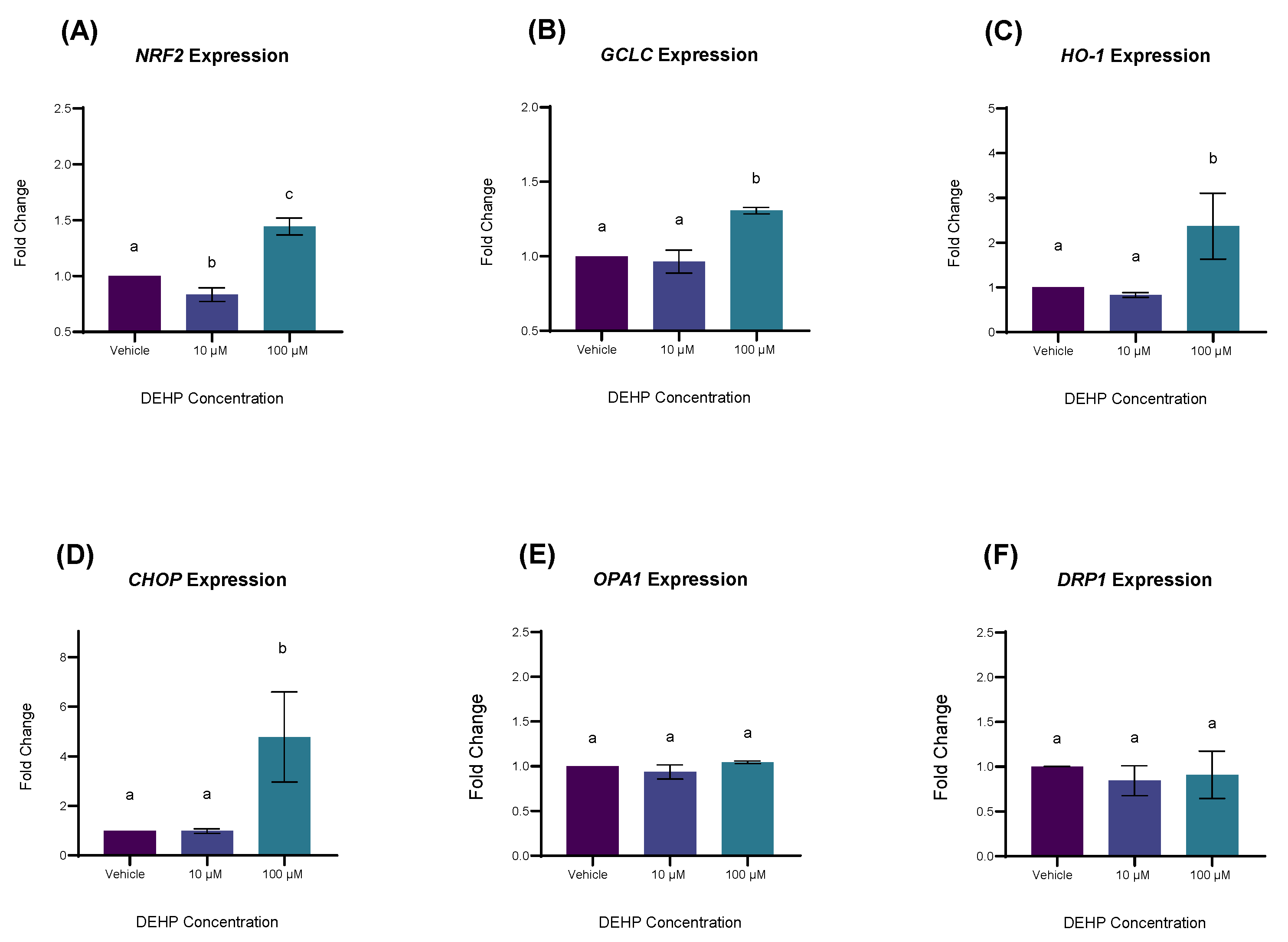 Ijms 26 11716 g004 Ijms 26 11716 g004