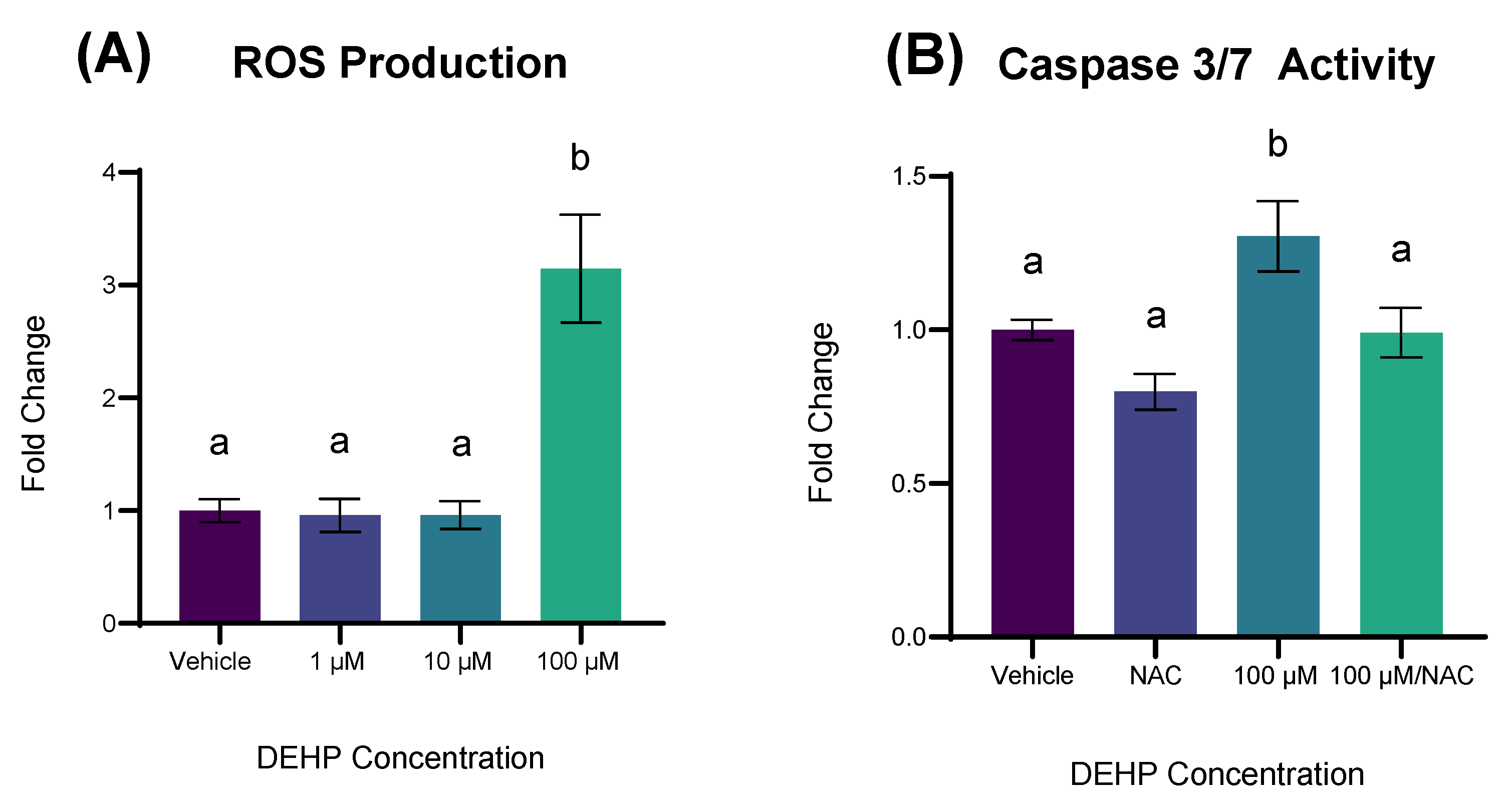 Ijms 26 11716 g005 Ijms 26 11716 g005