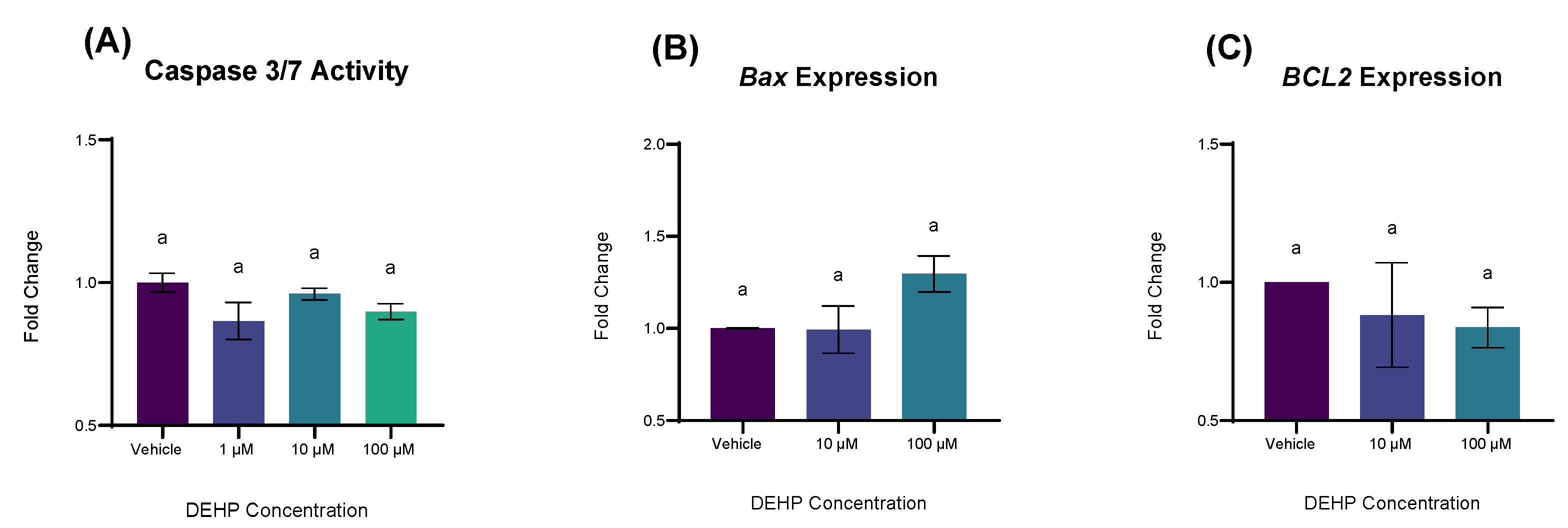 Ijms 26 11716 g006 Ijms 26 11716 g006