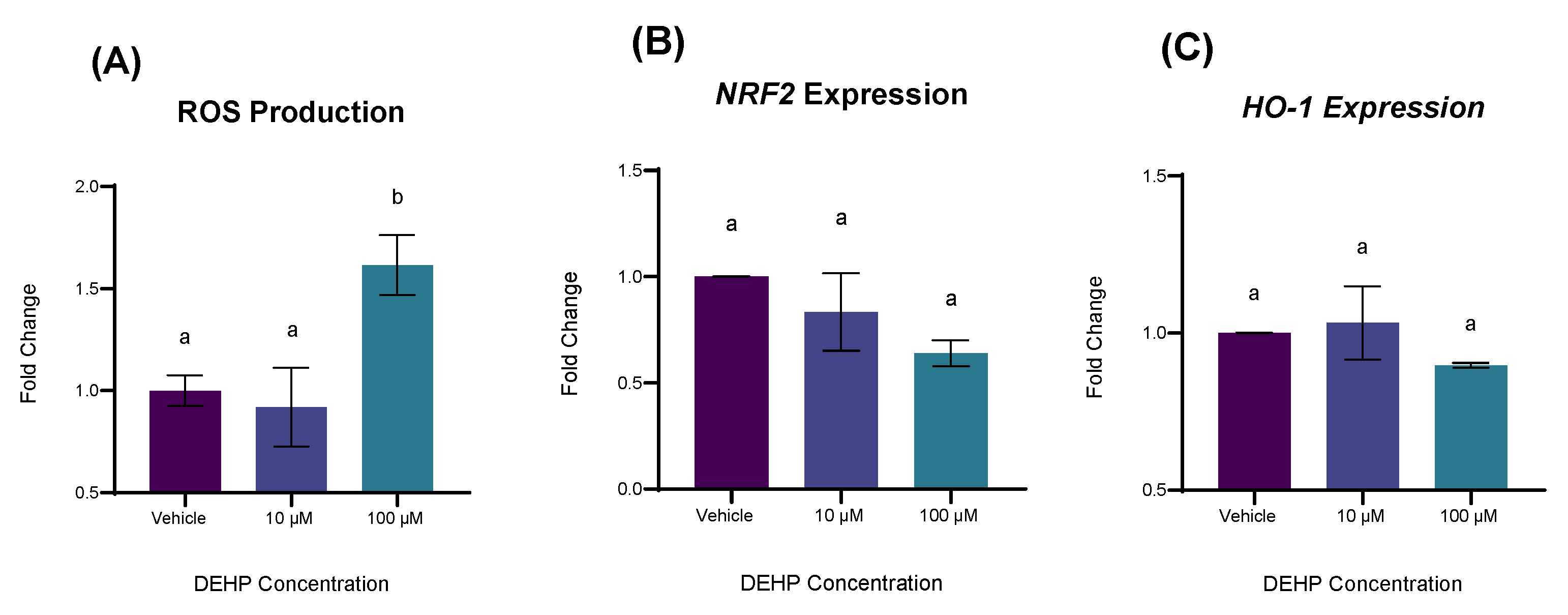 Ijms 26 11716 g007 Ijms 26 11716 g007