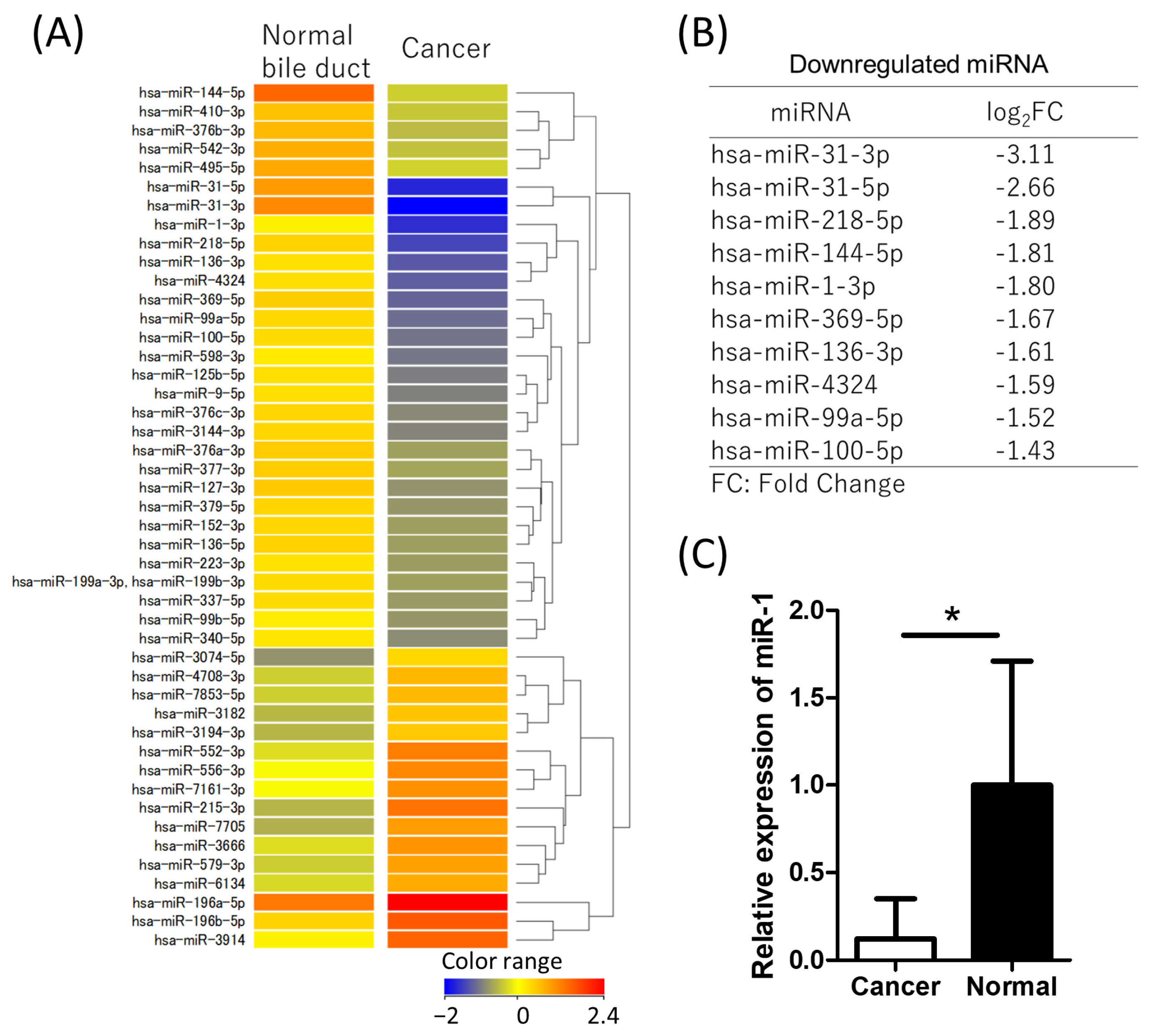 Ijms 26 11718 g001 Ijms 26 11718 g001