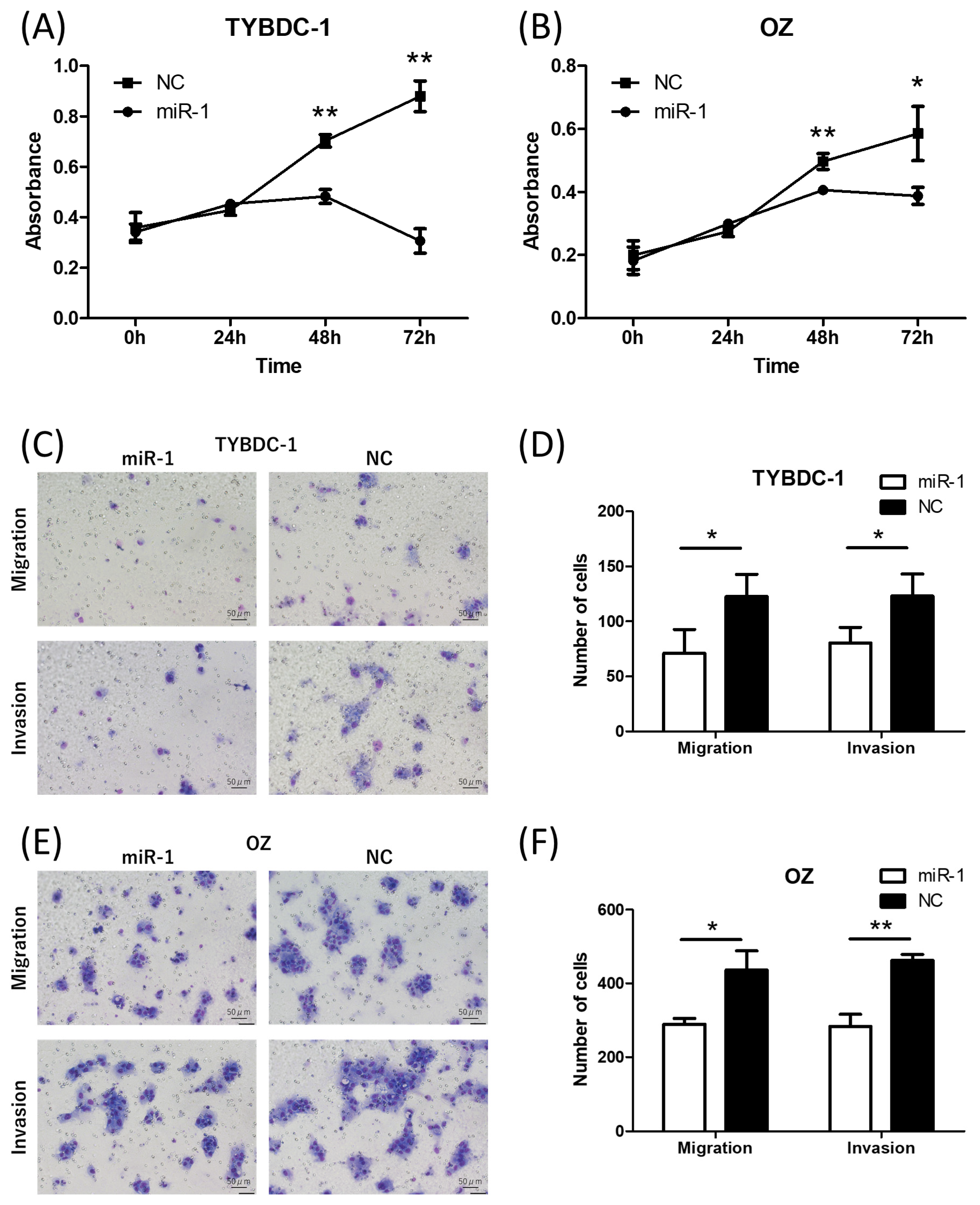 Ijms 26 11718 g002 Ijms 26 11718 g002