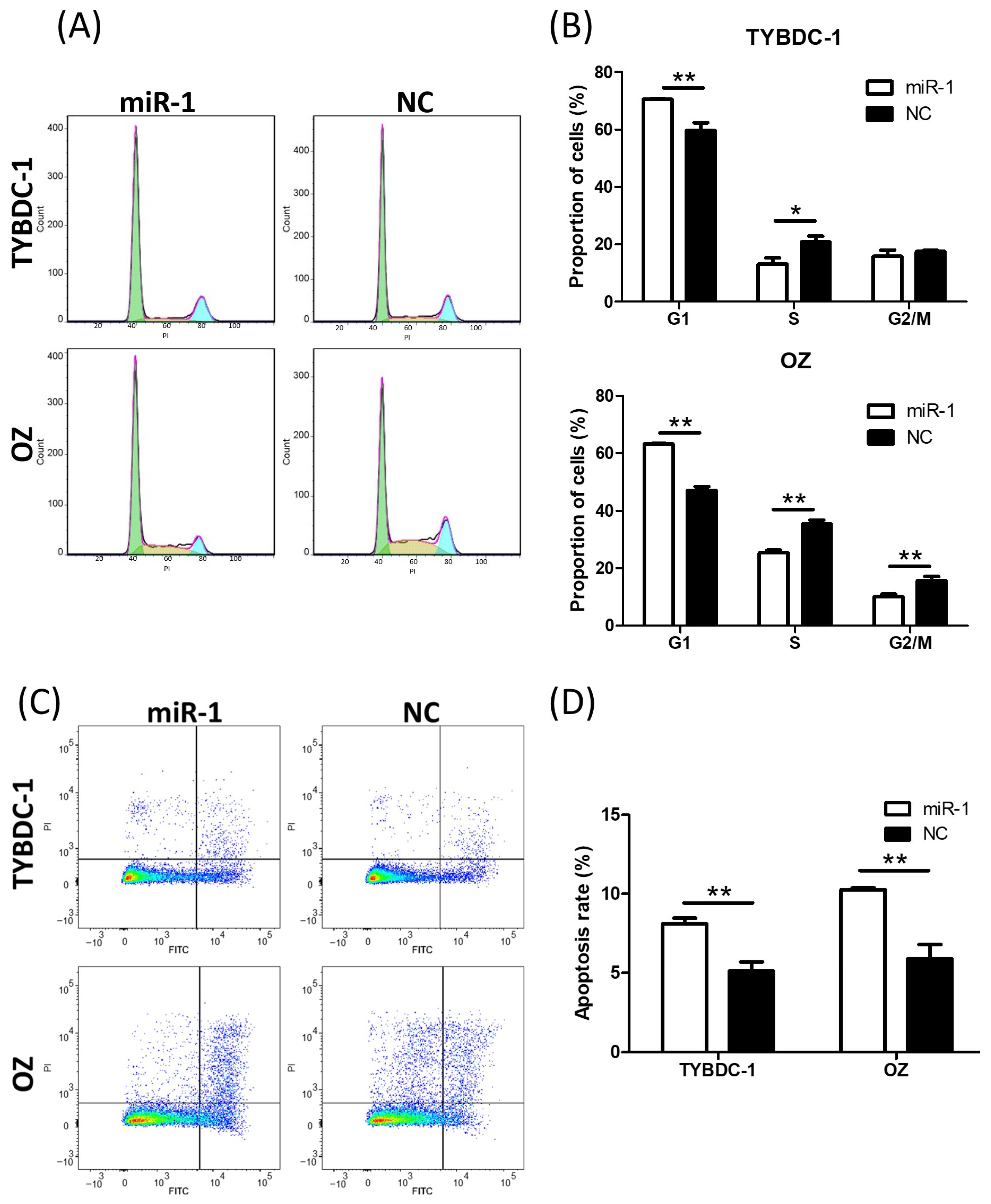 Ijms 26 11718 g003 Ijms 26 11718 g003