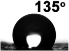 Ijms 26 11719 i009