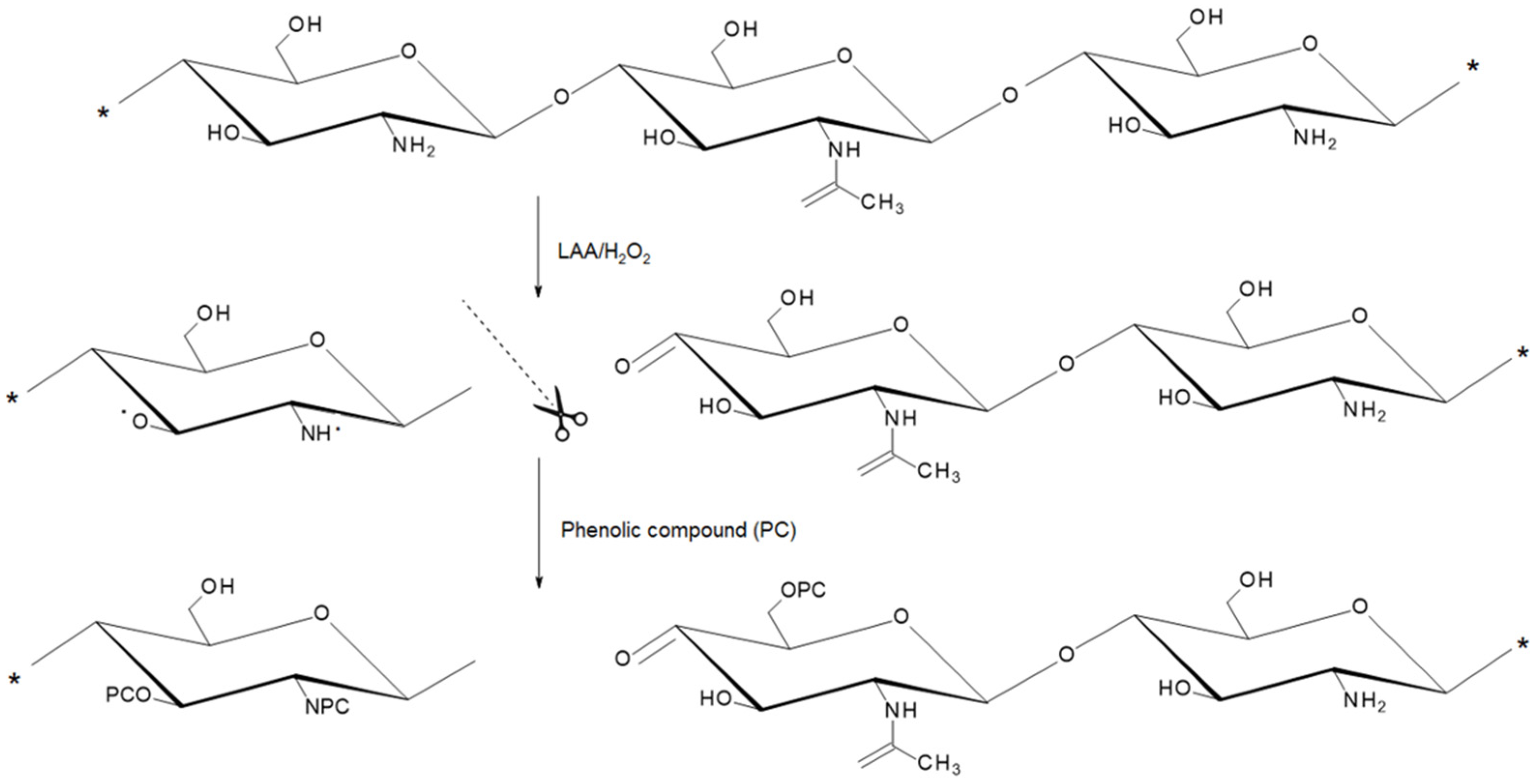 Ijms 26 11721 g003 Ijms 26 11721 g003