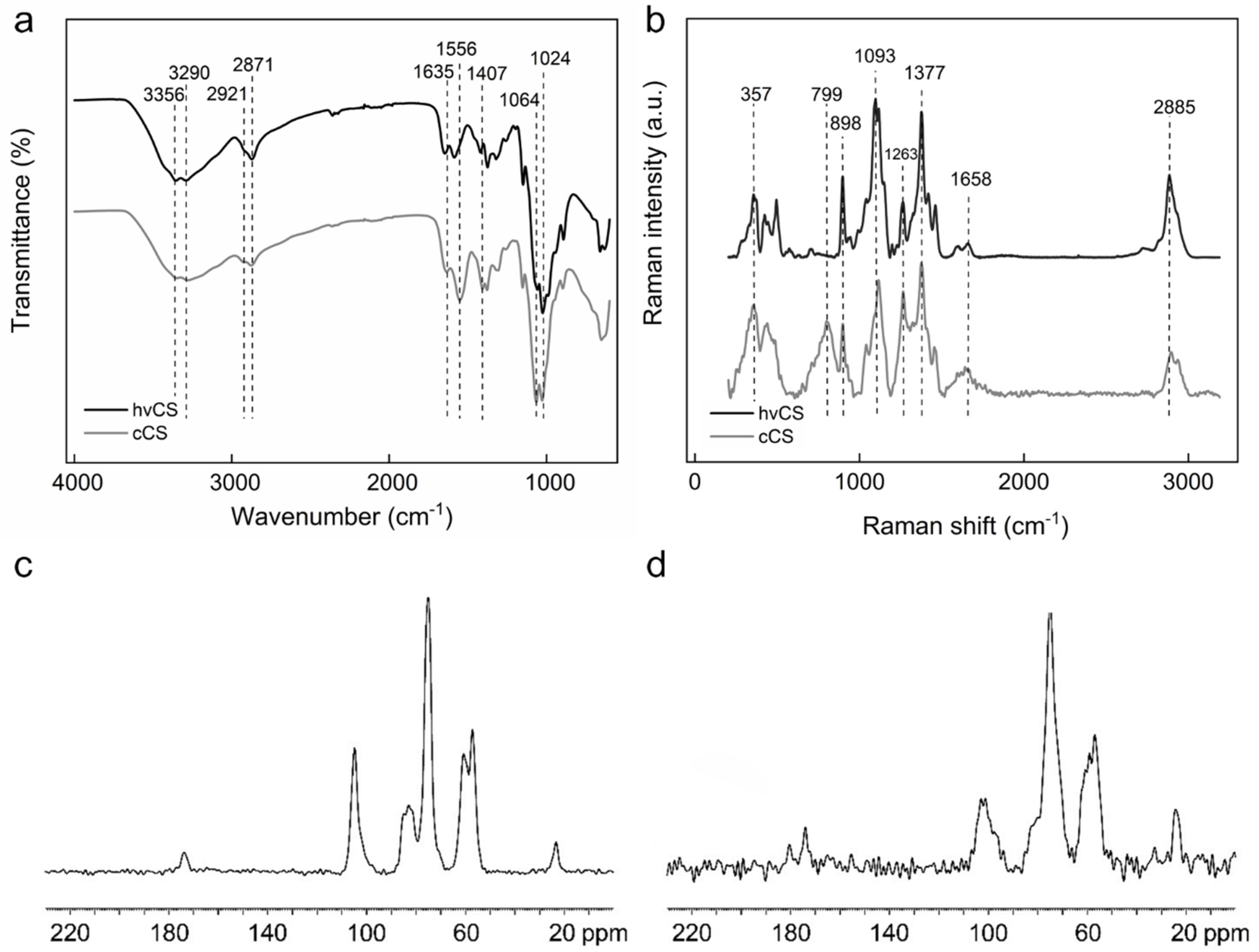 Ijms 26 11721 g005 Ijms 26 11721 g005
