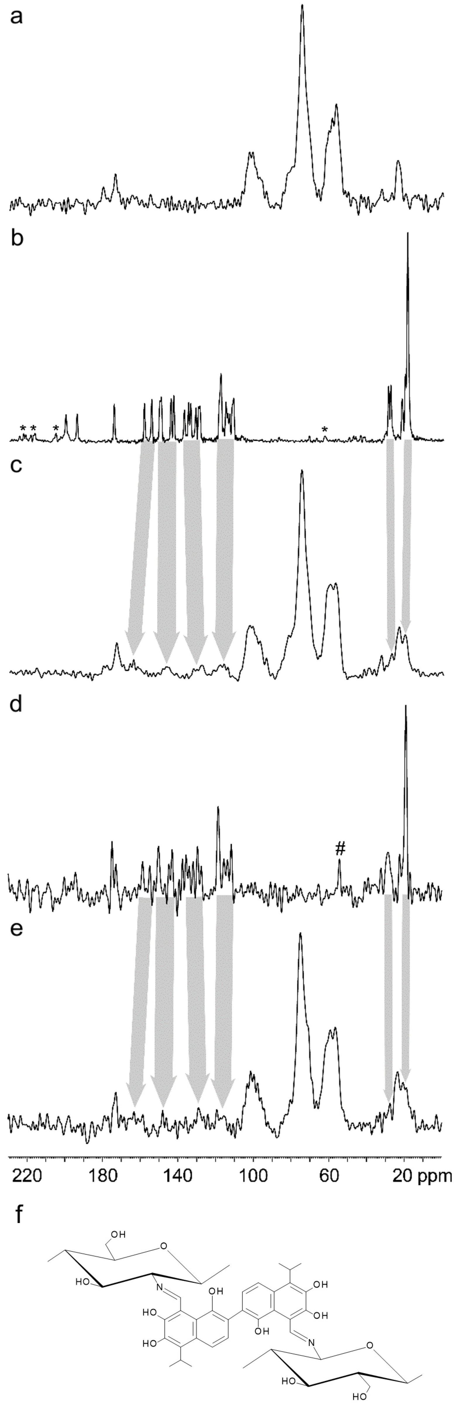 Ijms 26 11721 g010 Ijms 26 11721 g010