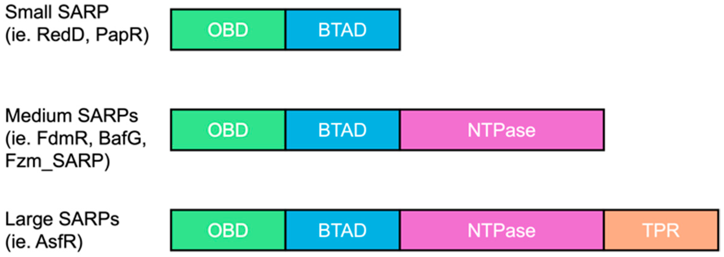 Ijms 26 11723 g001 Ijms 26 11723 g001