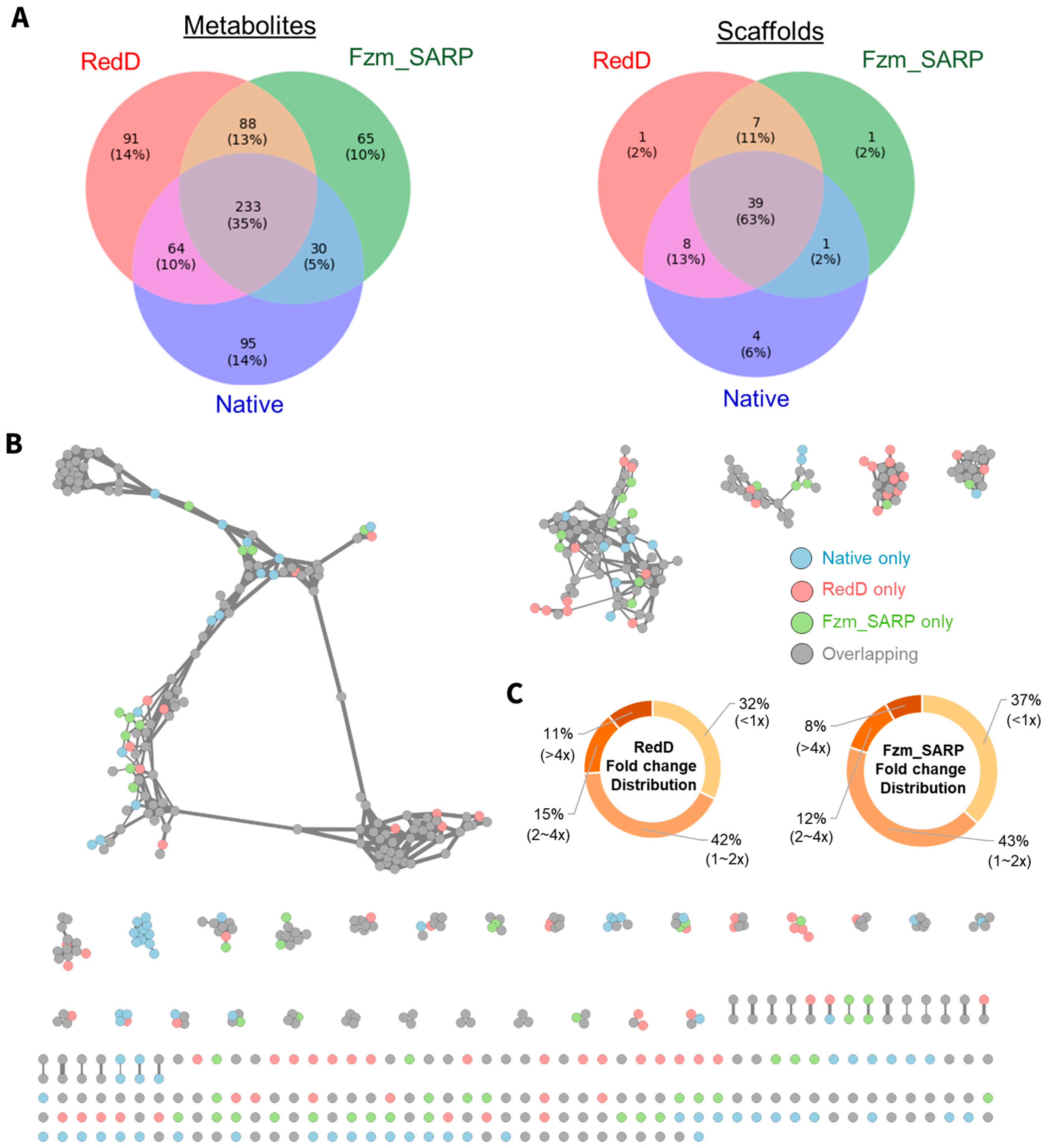 Ijms 26 11723 g002 Ijms 26 11723 g002