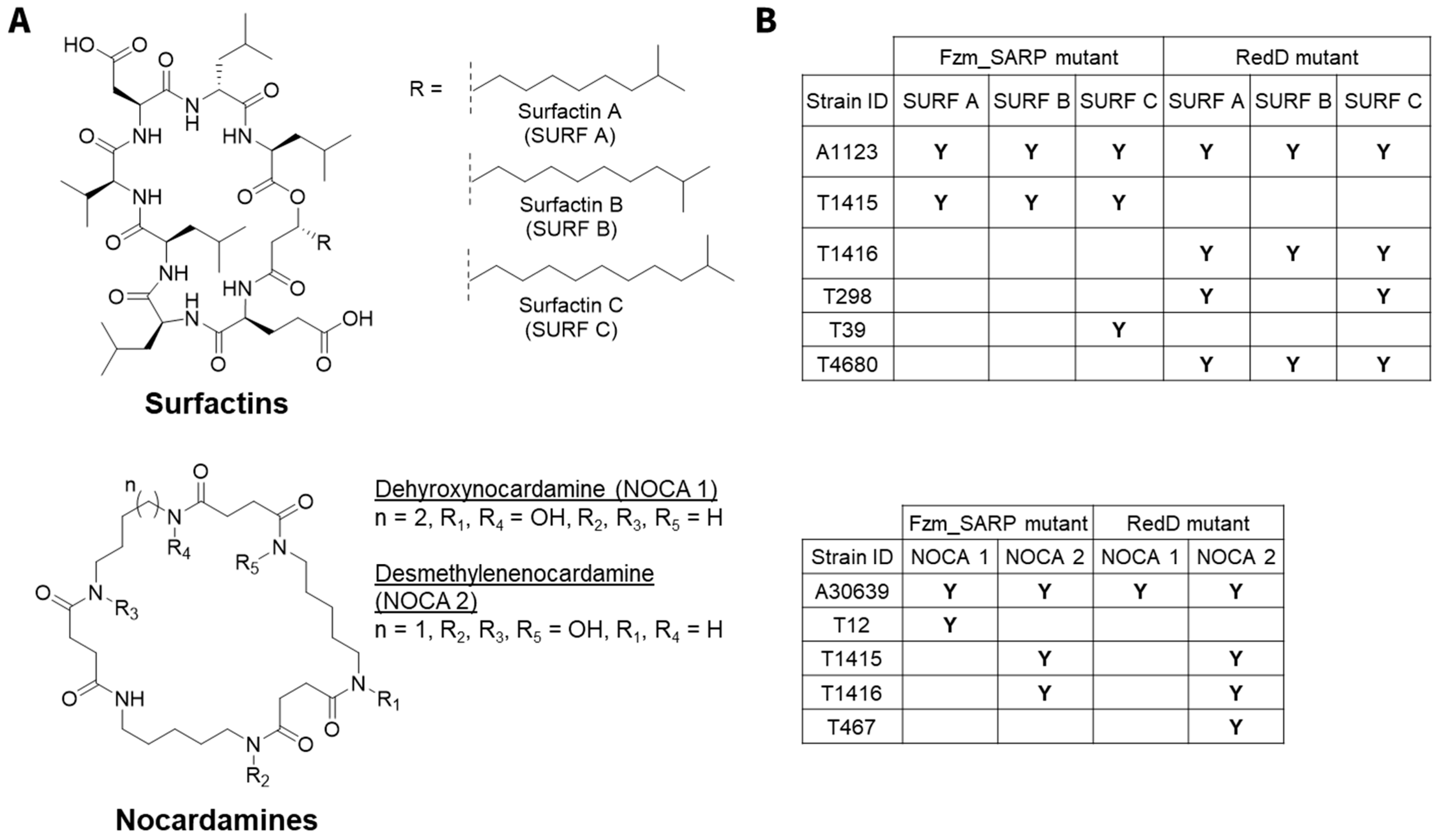 Ijms 26 11723 g003 Ijms 26 11723 g003