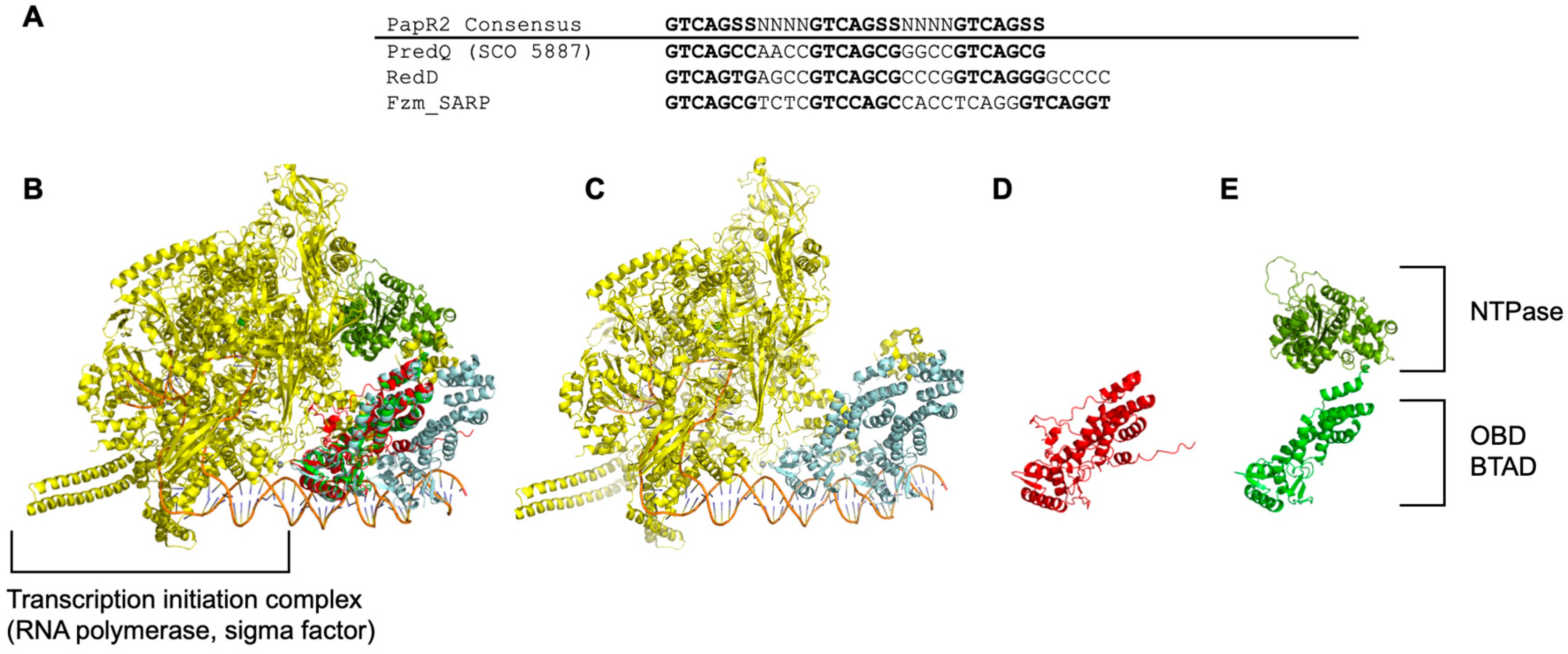 Ijms 26 11723 g005 Ijms 26 11723 g005