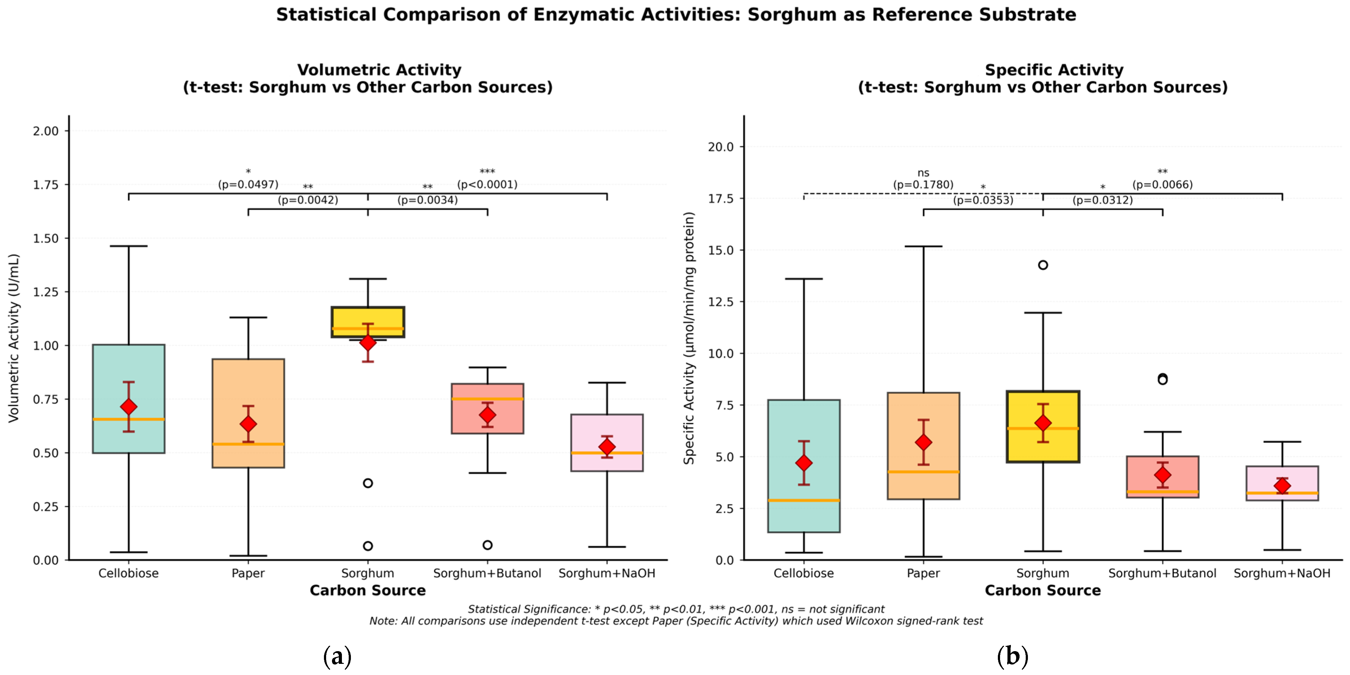 Ijms 26 11728 g001 Ijms 26 11728 g001