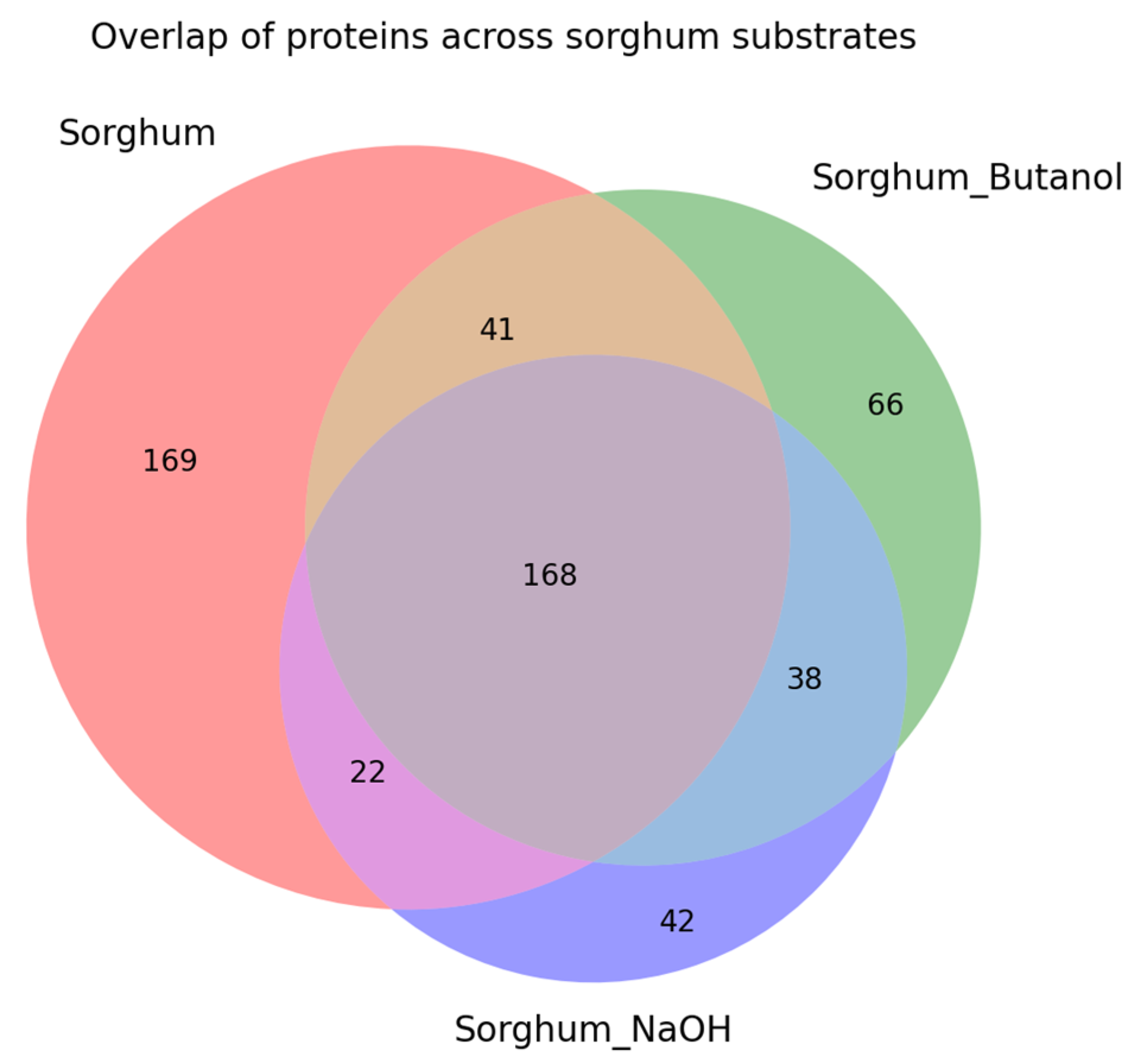 Ijms 26 11728 g003 Ijms 26 11728 g003