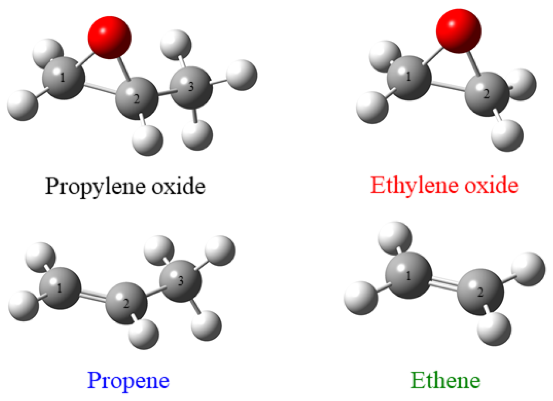 Ijms 26 11729 g001 Ijms 26 11729 g001