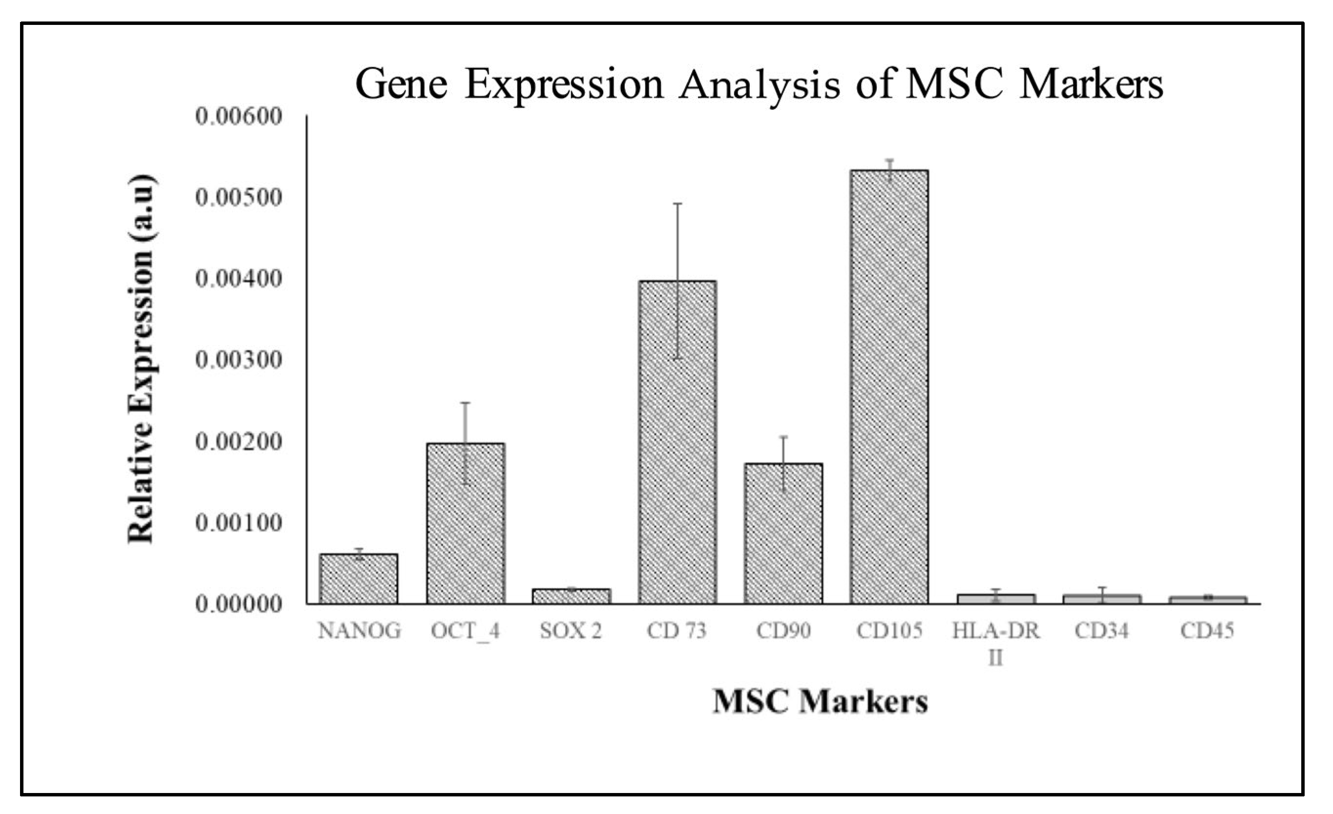 Ijms 26 11760 g004 Ijms 26 11760 g004
