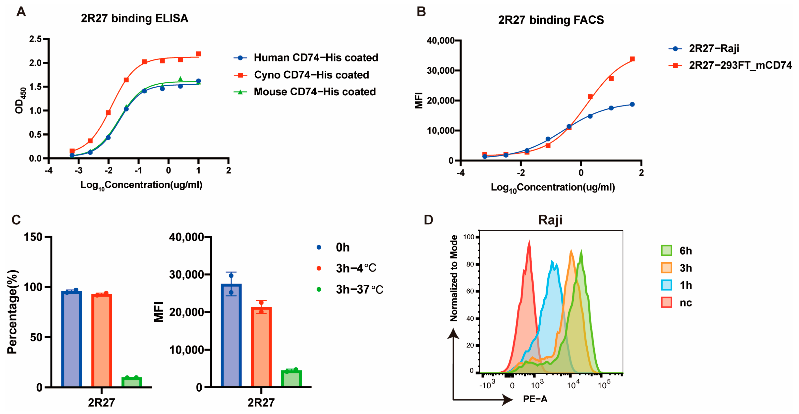 Ijms 26 11761 g002 Ijms 26 11761 g002