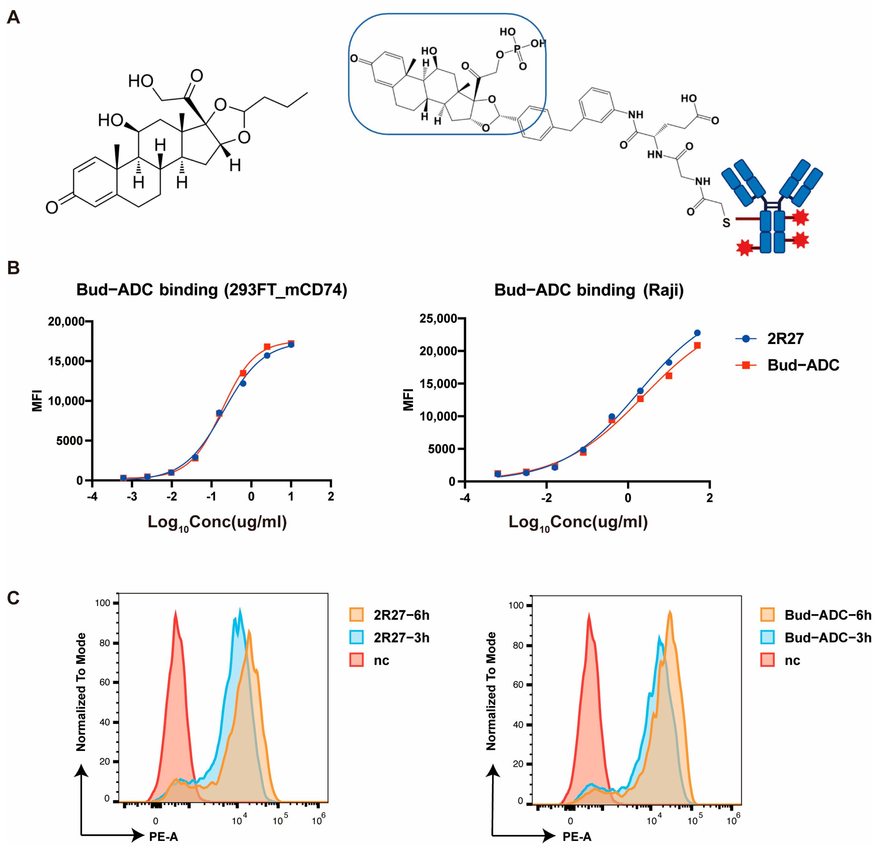 Ijms 26 11761 g003 Ijms 26 11761 g003