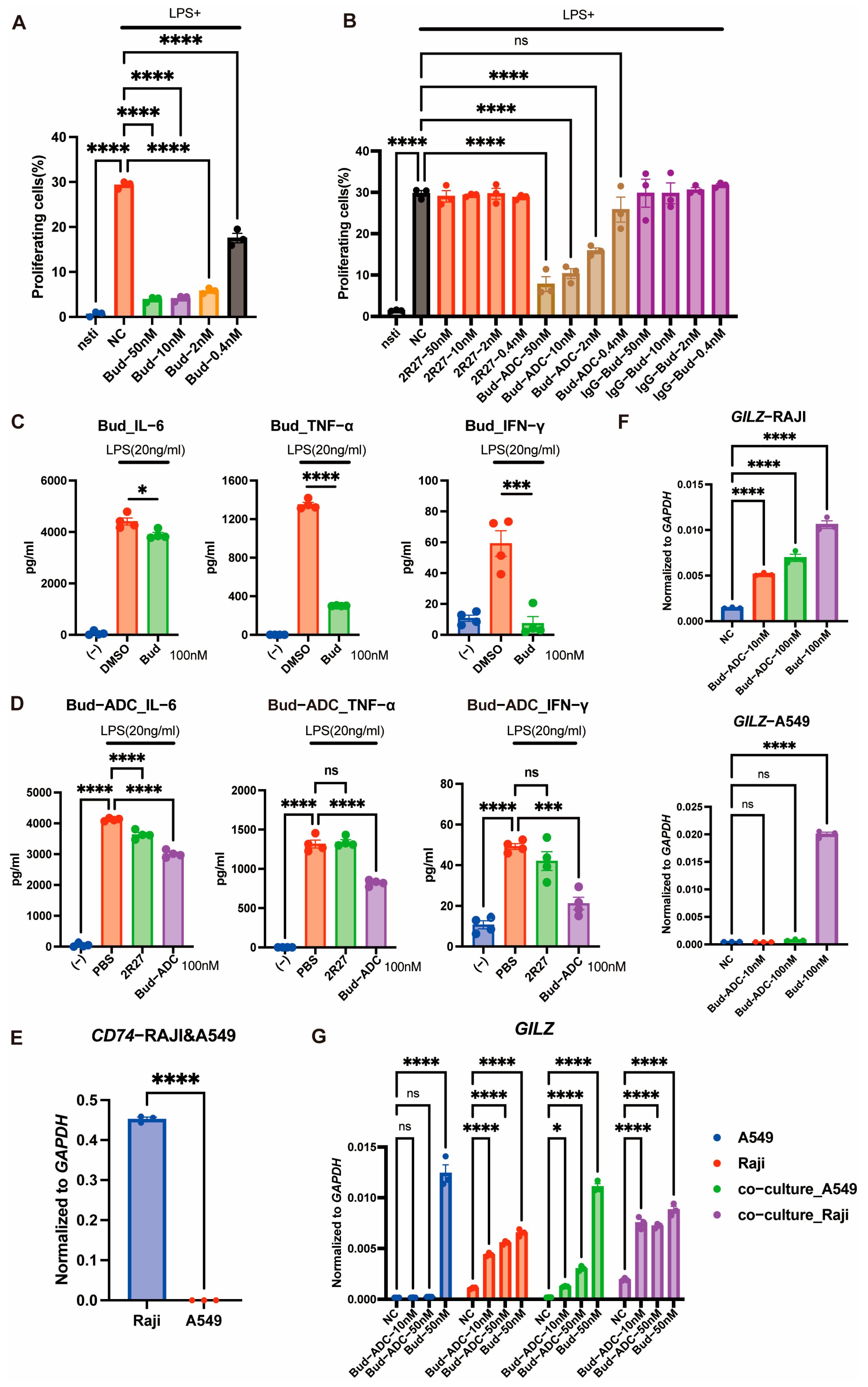 Ijms 26 11761 g004 Ijms 26 11761 g004